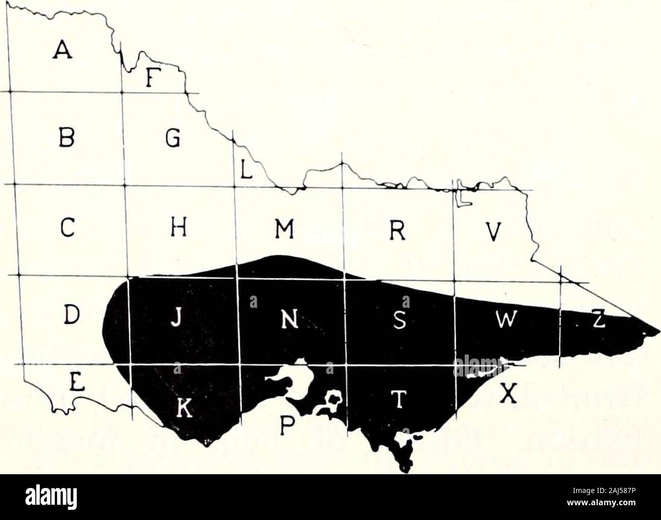 Le Victorian naturalist . rge-feuille de pois de Bush. Cette espèce est une des plus répandue dans le sud et l'est de Vic-toria. C'est un grand arbuste voyantes, habituellement de 2 à 3 mètres de haut, qui favorssheltered et plutôt sites humides, oftenunder tall timber. Dans les régions plus sèches comme la gamme de Brisbane, P.daphnoideswill être trouvés sur les pentes exposées au sud.Il n'est pas commun dans le Grampiansand est absent du nord-westernareas. P.daphnoides se produit également dans l'NewSouth Wales, Australie du Sud. andTasmania Les fleurs sont en grappes denses à l'extrémité des branches. Il areclear jaune, sauf pour l'darkbrown quille. Banque D'Images