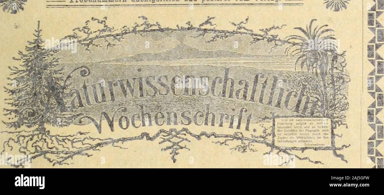 Insektenborse. . Pannstreifen unübertroffener GQte) von |,lief. in5 Breiten zu 5,10,15,20.30u 100m ie,tnm, inRollen Preisev 35,40,60,75,100.z.^^0 Portol.pr.Rolle, geg.eins.d.Betrag.p. Anweis.od.kur s.Bref marque. beiibnahme derganzen, Serie auch p. Nachn. Qui a été sélectionné. FernerLcpidopteren Qual, iäufs. billig. Leopold Karlinger,3364] Wien XX/1, Brigittaplatzl7. P Kräftige Puppen von Apaturairis p. St. 40  % hat abzug. geg.vorh. Kasse. Porto u. Verpack.25^ extra. Carl, maintenez [3389Barmen, Lichtenplatzerstr. 47 a. Stata pubblicata V E teste intera opera di pag. Pour 186-mato 8.° grande, con 11 tavole, del GL Banque D'Images