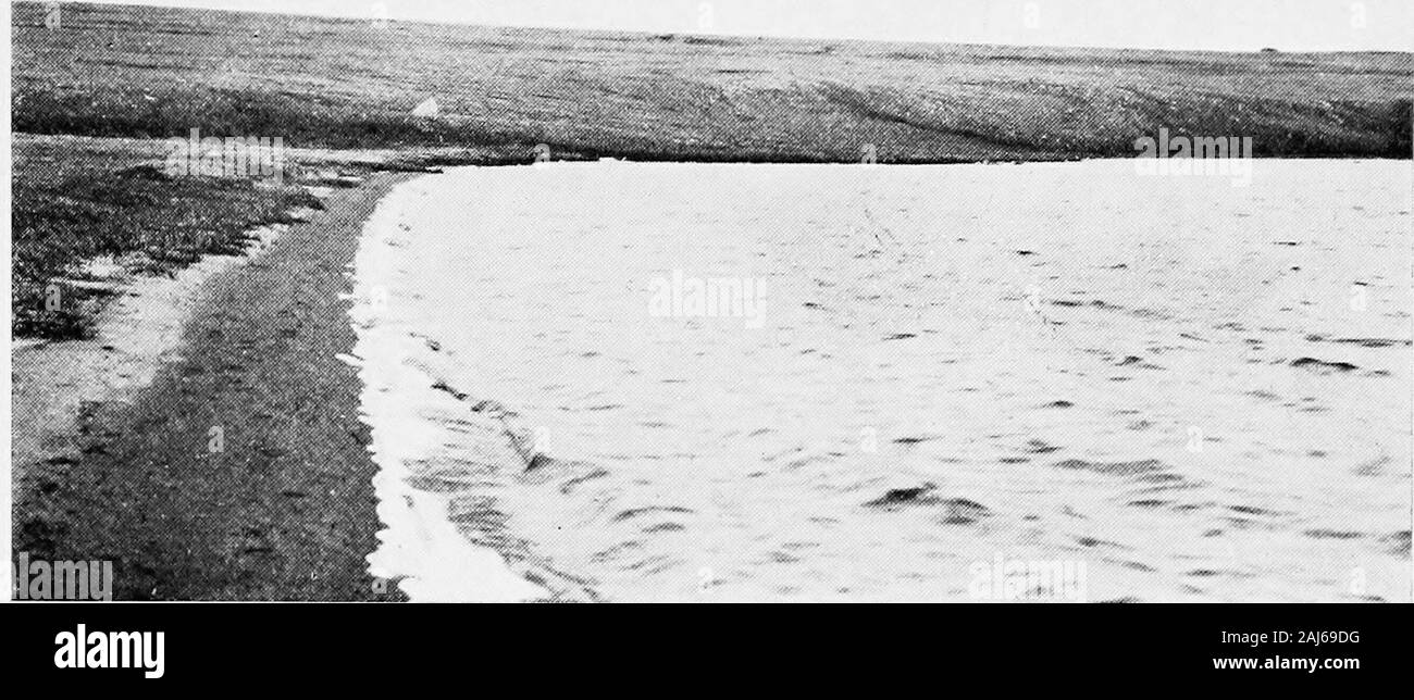 Rapport de l'Expédition arctique canadienne 1913-1918 . Fig 2 - à la sortie de l'étang saumâtre creek à Bernard Harbour. Le 15 juillet 1915. La vie des crustacés N 23 III. la plaque. Fig. 1-Est fin de long, étroit, Inland Lake au sud-ouest de Bernard Harbour, le 15 juillet 1915. J'^^-- Fig. 2-découpage de la glace sur le grand lac profond au sud de Bernard Harbour, septembre 28,1915 Vie Crustacés NPlate IV- 25 Banque D'Images