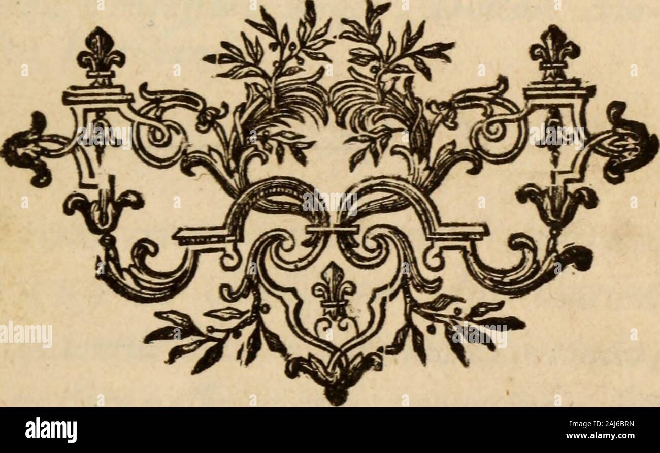 De melancholia et morbis. melancholicis . Pathica non idio-phrenitis fuerit, prsecedunt autres fympto-mata , fequitur illa. Sed utroque dans cafu quae pendet bile abatra, brevi mortitera , eft cinq dans aterrimum refolutis ta-bum humoribus , erofisvafis lethargum gangrsenofum cinq en apoplexiam definens,aut. Quid memorem alios humoris moti efteclusqui ulceratus fubitus quafi & cancer omnia def-truit, erodit fphaceium & en vertit. Gangrasna fphacelus,Anthrax , une caufis intemis fubito cumipsa morte apparentes huc referri, cumaliunde faniori debent & Phyficae repughet cognitisceconomiae , & animalis le Banque D'Images