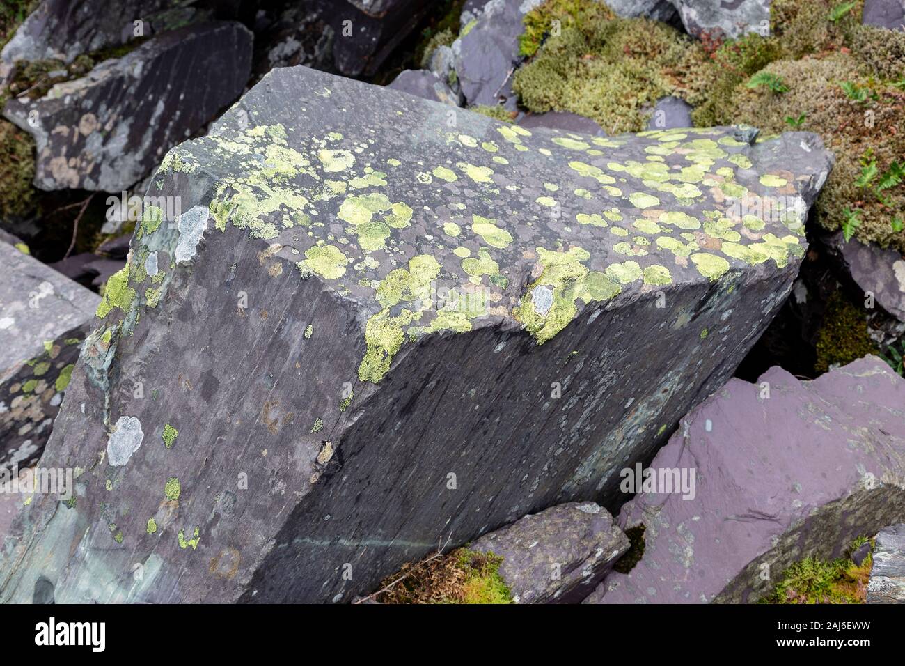 Ardoise ancienne butin avec lichen, Snowdonia, le Nord du Pays de Galles Banque D'Images