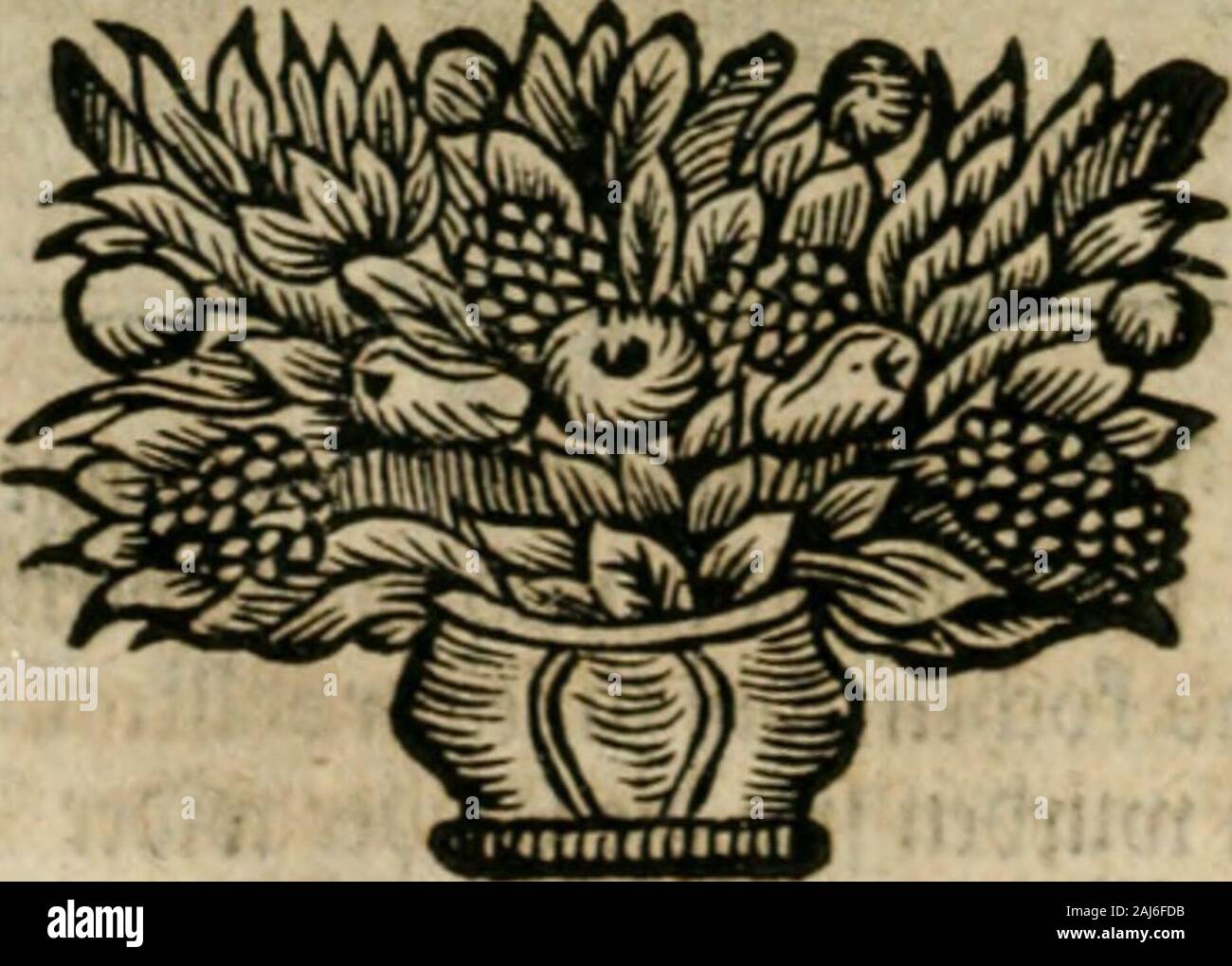 Avrevm vellvs, oder, Guldin Schatz und der darinnen Kunst-Kammer fürnemisten : aller, fürtreffenlichsten ausserlesenesten herrlichisten, bewehrtesten, und Bücher und Schrifften Auctorum, aufs gar dem uberblibnen uralten der Schatz, verborgnen hinderhaltenen Reliquien Monumenten, und der Aegyptiorum, Arabum, Chaldaeorum Assyriorum Königen und & Weysen . Ic (^^ge immet ein folc e^^ « g)i / o^auffgetbcn ^er en ^unnb k Ui)ix bcr fXig t( ?^rbtreic epl beg|)ö /^^ anftc sac e ncmmen Äraftt ^möge ixt beg^ ^ßajTevö geur unb.. 3um Splendor Solis. Banque D'Images