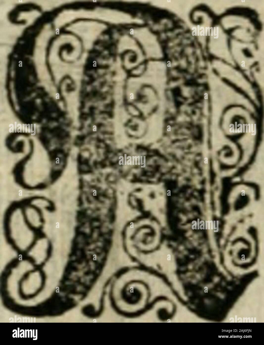 Avrevm vellvs, oder, Guldin Schatz und der darinnen Kunst-Kammer fürnemisten : aller, fürtreffenlichsten ausserlesenesten herrlichisten, bewehrtesten, und Bücher und Schrifften Auctorum, aufs gar dem uberblibnen uralten der Schatz, verborgnen hinderhaltenen Reliquien Monumenten, und der Aegyptiorum, Arabum, Chaldaeorum Assyriorum Königen und Weysen & emniöcn unnb miber ./^üngen ^er;timb dans "^^rdfitem j( 2 a 3^niKub J 188 Splendor Solis. ^^ ttm i)oIgt nous^eigenfc UtWt dUtnx/ Der affl(^ ^t)jt fit ütdnm. TRACTATVS QJ^LEMV. ^9v(CS ? ^im uc() t)önn^fpric bcr ©cburt alfo t / ber @h unb oft ? !)]enfd) © Banque D'Images