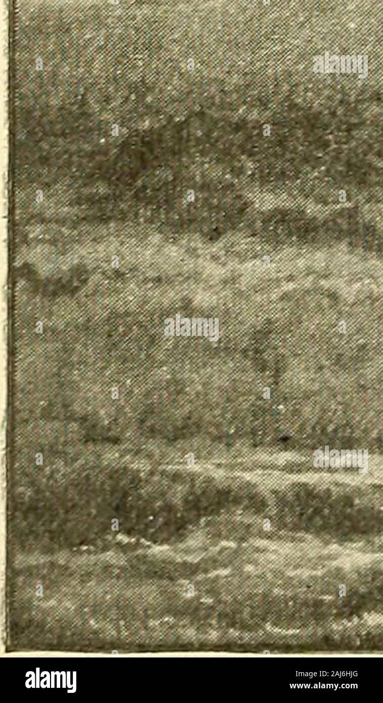 Carroll Brooks et lecteurs - un lecteur pour la cinquième année de l'orgue . istening-chant des vents, Jack, et les tunes, que les oiseaux chantent doux. -Lucy Larcom. coquetting (ko-ketting) : agir de manière ludique. Ce que les volcans un volcan est comme il est assez facile de showyou ; car ils sont la plus beautifullyshaped et simplement de toutes les montagnes, et ils se ressemblent tous au monde, qu'elles soient grandes ou petites. Almostevery volcan du monde, je crois, est, ou a beenonce, de "l'OPHA que vous voyez dans l'image sur thenext page. Tous les côtés en pente sont faites de cendres, andashes y ensemble Banque D'Images