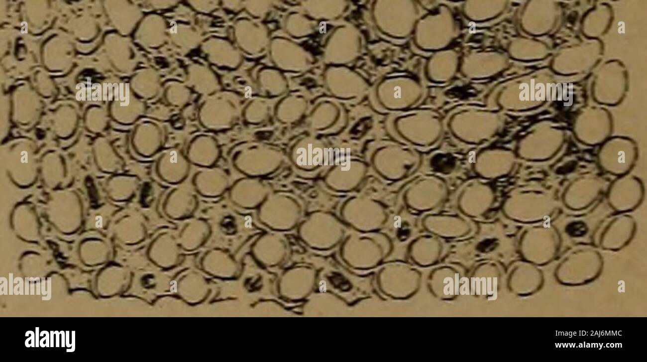 Un texte-livre d'Histologie et Embryologie dentaire, y compris les ...
