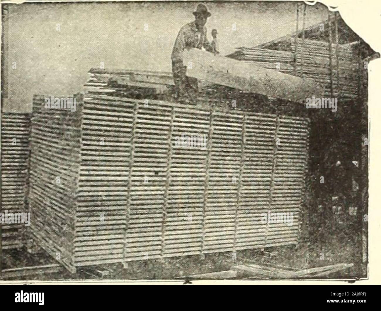 Les industries des produits du bois . Toute entreprise spécialisée dans therunning de moulures détaillées mais pense qu'suchfirms comme les constructeurs Molding Supply Co., Noble Fleuve:George Rathbone & Co., Québec Ave., ou la loi de R. Lumber Co., 2268, rue Dundas Ouest, s'bepleased pour prendre soin de vos besoins dans le moulage. Crédits et réductions Trois Rivières, P.O.Éditeur, travailleur du bois canadien. Le tableau suivant des rabais et les taux d'equivalentinterest figurait à la page 96 de votre numéro de juin:1/2  % 10 jours-net 30 jours est égale à 9  % d'intérêt par an 1  % 10 jours-net 30 jours est égal à 18  % des intérêts p Banque D'Images