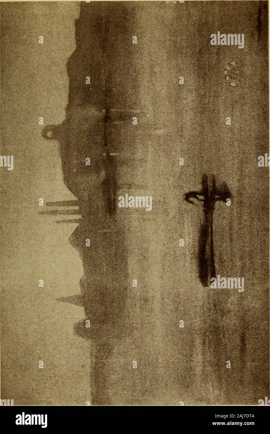 Vie de James McNeill Whistler, . xcessivein imitation comme dans la dévotion. Il a nié le droit de tout enregistrer, de parler avec autorité theartist, art des FC ; ils ont commencé à former un club theclasses-Princes, des premiers ministres, des mécènes, des ambassadeurs, des membres du Parlement européen à une foi aveugle en maître et disciples. Whistlermixed masses de couleurs sur la palette, les garder sous l'eau. insaucers Les adeptes des plats de légumes et les leurs dans keptthem dans le lait-bidons, appelée marbre, du visage, des cheveux, des lèvres. Il avait un tablepalette ; ils l'a adopté, mais a ajouté des crochets pour suspendre les boîtes de ofpaint sur. Il a utilisé son très peinture Banque D'Images