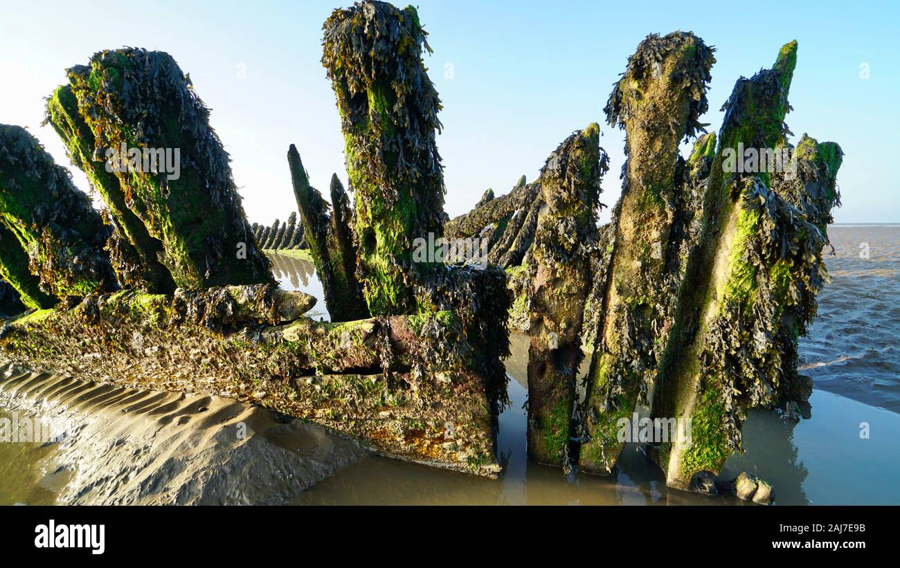 Vestiges de l'épave du SS Nornen Berrow, Plage, Somerset, Angleterre, qui peut être vu à marée basse. Banque D'Images