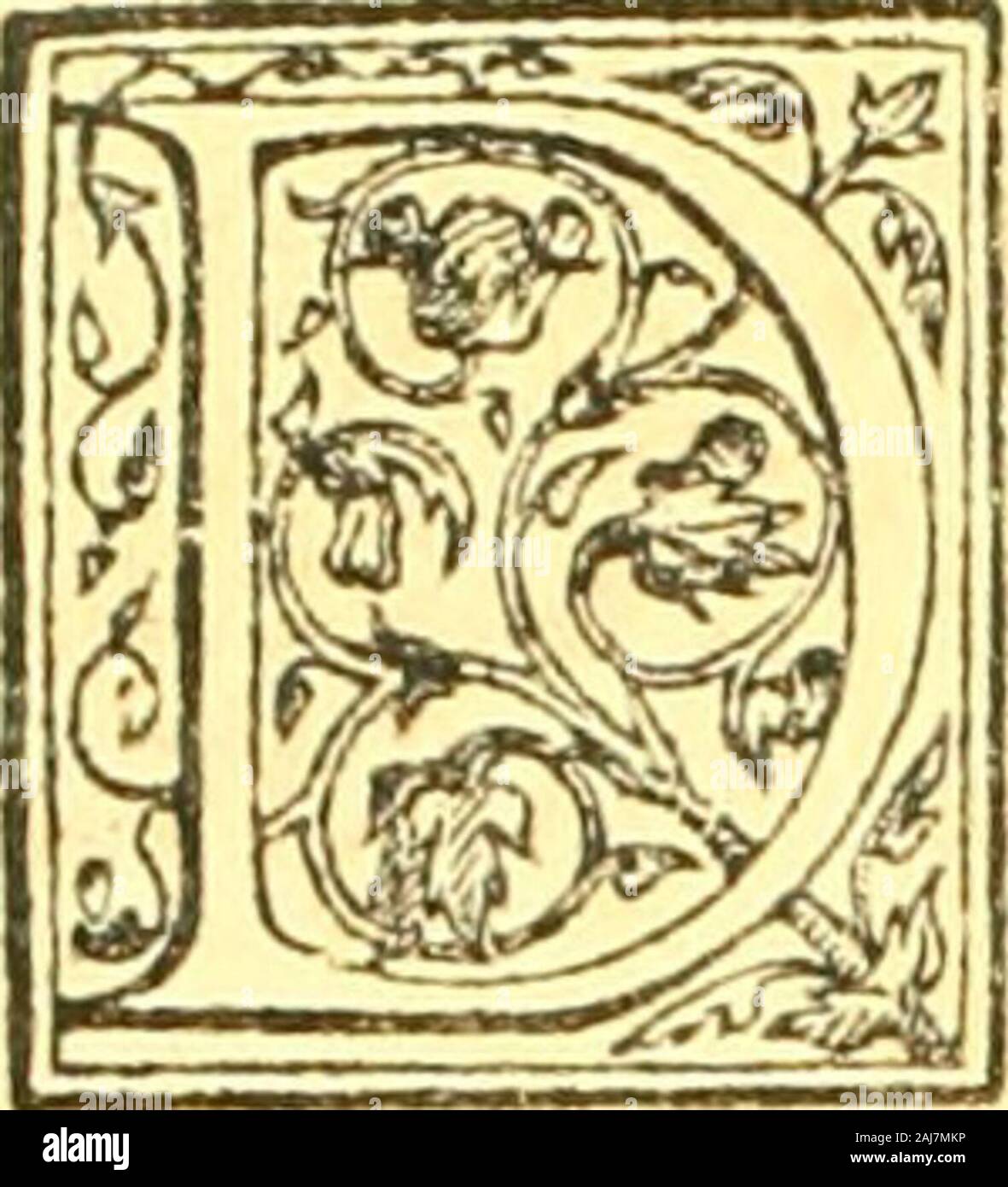 Delle famiglie nobili Napoletane . anno 1420 tur fatti ancora prigioni dans ieruigio E del Re due fratelli del Còte, sw molto più che viua par Niccolo il Conte veggedoli intorno quelli tepi,ò poco dopo la iùa rimaritarfi terzomarito,col moglie che fu Sforza da Cutignola muorfi qual;il lanno 1424 lafciò figliuolo,& vn della Marzana. Hora io io nò fcil Còte figliuoli lafciò iùccedette,o fé alcun gli nel contado de fratelli. Quello è ben pas-à Giouana de Celano, iùcceder còtado Couella ouer nel de Celano, la quale di necefiitafègue, che ò fia nata del Còte Pietro, ò dalcun de fratelli segli mori j Banque D'Images