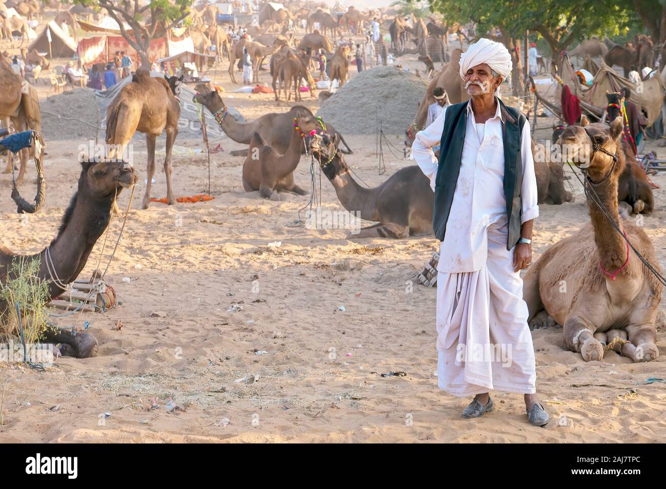 Pushkar, Inde - Nov 19, 2015. Un chameau Rajasthani commerçant, portant des vêtements traditionnels, se dresse dans un camp dans le désert à l'assemblée annuelle de chameau de Pushkar juste. Banque D'Images