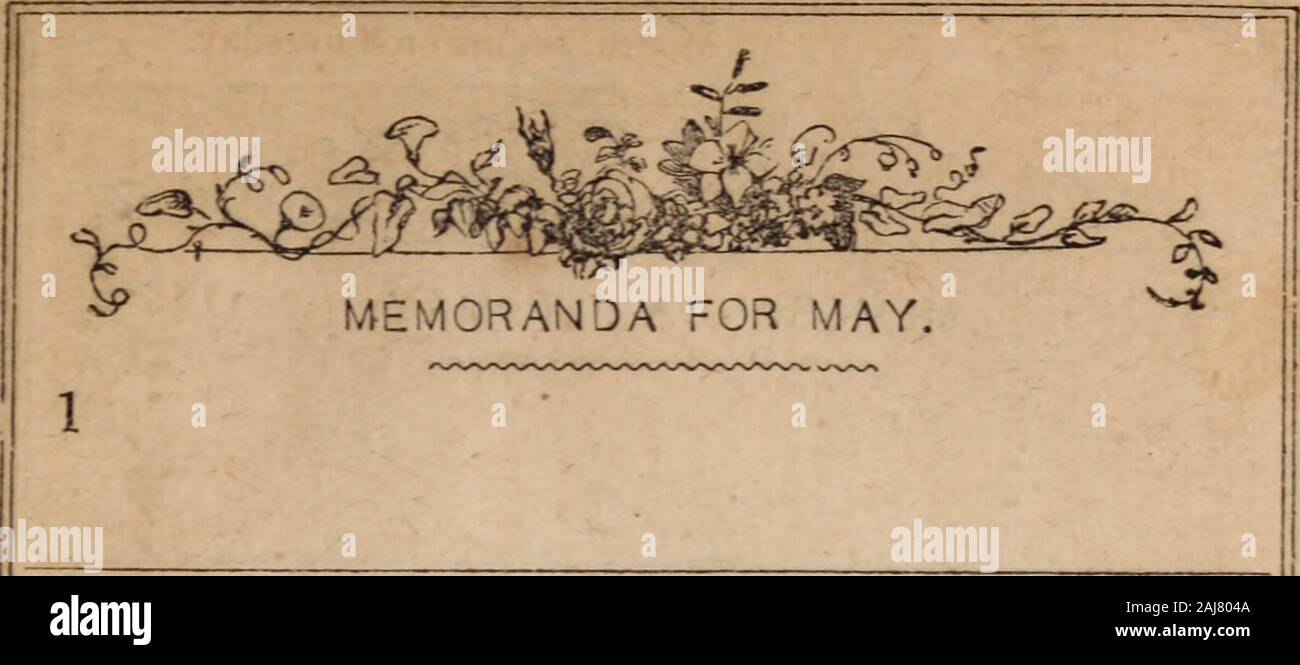 La grande métropole : ou, New York en 1845 . 434 721 14 474 347 22|14 484337 23114 5021 394 32 7 23 14 51 21 31 484 724114 53,21 56, 21 1921 29 33 123 193 253 303 353 31 433 403 483 !3 503 523 533 543 543 533 523 503 43 45 34 : 333 333283 223 163 93 22 552 42 38 213 m 2 44 3 45 163 ensembles. 7 31a 8269 1810 4 10 46 2311 11 57morn. 0 27m 0 58 1 26 1 54 2 27 3 ^2s'élève. J'ai 7 33a 8 39 9 35 10 25 11 711 44morn. 0 16m 0 48 117147 8 15m 9 29 48 10 34 11 10 a 210 058 1 47 2 35 3 23 4 10 4 55 5 40 6 25 7 9 7 56 8 44 9 35 10 30 11 29morn. 0 31m 1 34 2 36 3 35 4 31 5 23 6 13 7 0 7 46 8 32 1 d'une hi Banque D'Images