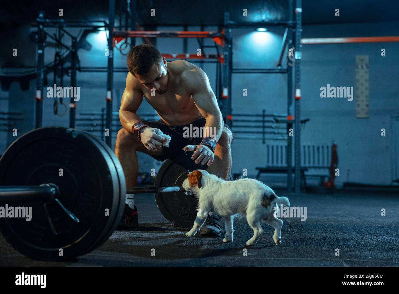 Caucasian man pratiquer en haltérophilie dans la salle de sport. Modèle sportif masculin se reposant après la formation, de l'air strong, un chien. Musculation, bonne hygiène de vie, de mouvement, d'activité, concept d'action. Banque D'Images