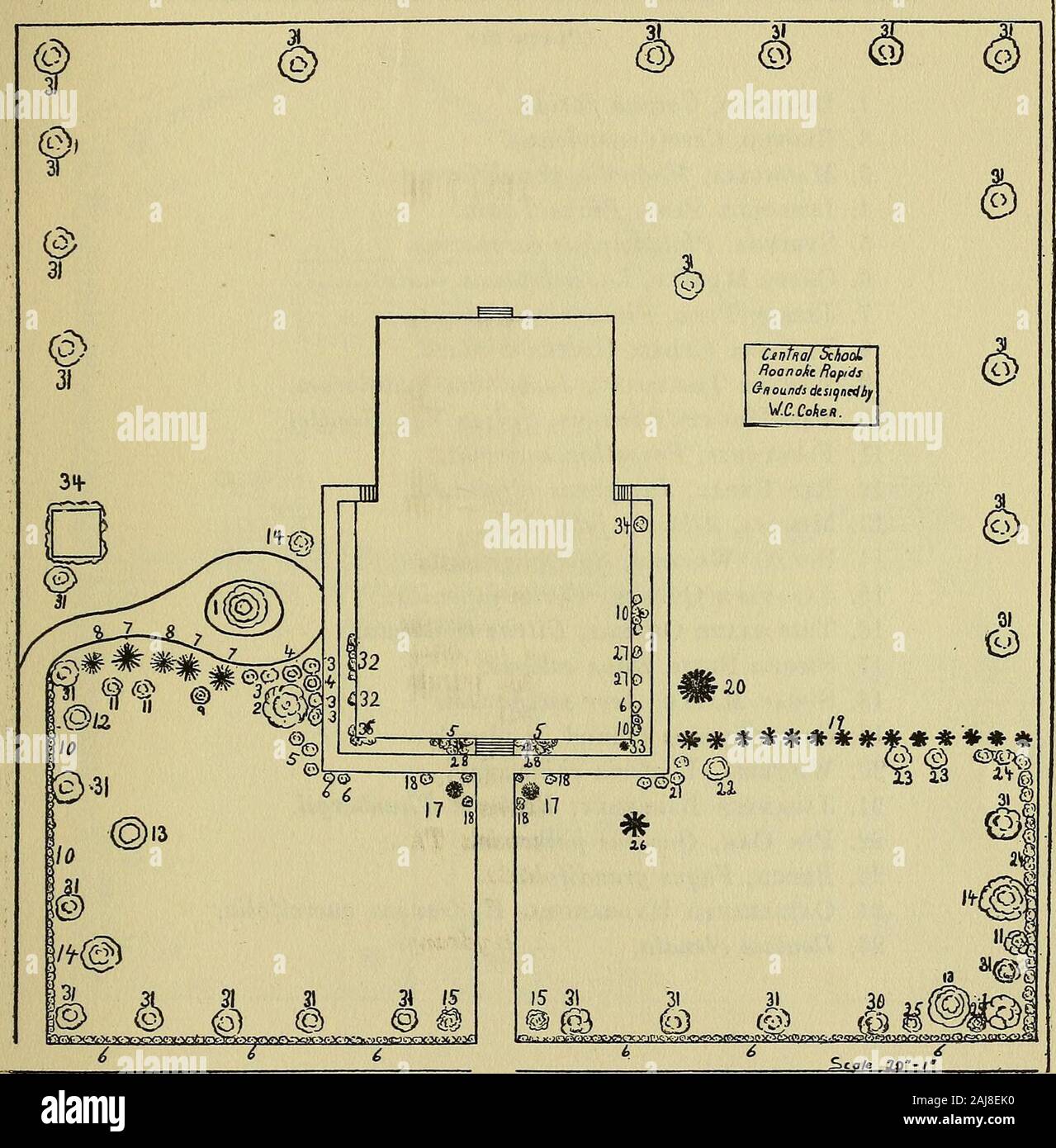 La conception et l'amélioration des cours d'école . l guirlande, Spirea prunifolia. 11. Cornouiller fleuri, Cornus florida. 12. Mimosa, l'Albizzia julibrissin. 13. Hêtre, Fagus grandifolia. 14. Pin Oak, Quercus palustris. 15. Vitex, Vitex agnus-castus. 16. Bush de fumée, Rhus cotinus. 17. American Arbor-vitae, Thuja occidentalis. 18. L'épine-vinette, Berberis thunbergii. 19. La pruche du Canada (Tsuga canadensis, haie). 20. Épinette de Norvège, Picea excelsa. 21. Syringa persica lilas de Perse, alba. 22. Magnolia, Magnolia soulangeana Soulanges. 23. Crape Myrtle, Lagerstroemia indica. 24. Kegels troène, Lig Banque D'Images