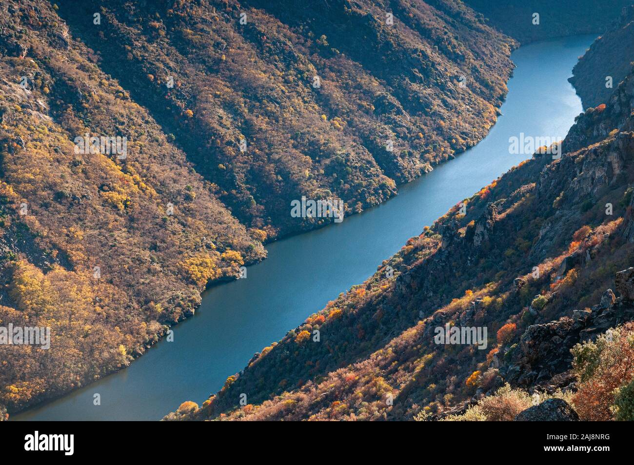 Douro Valley sur son cours international Banque D'Images