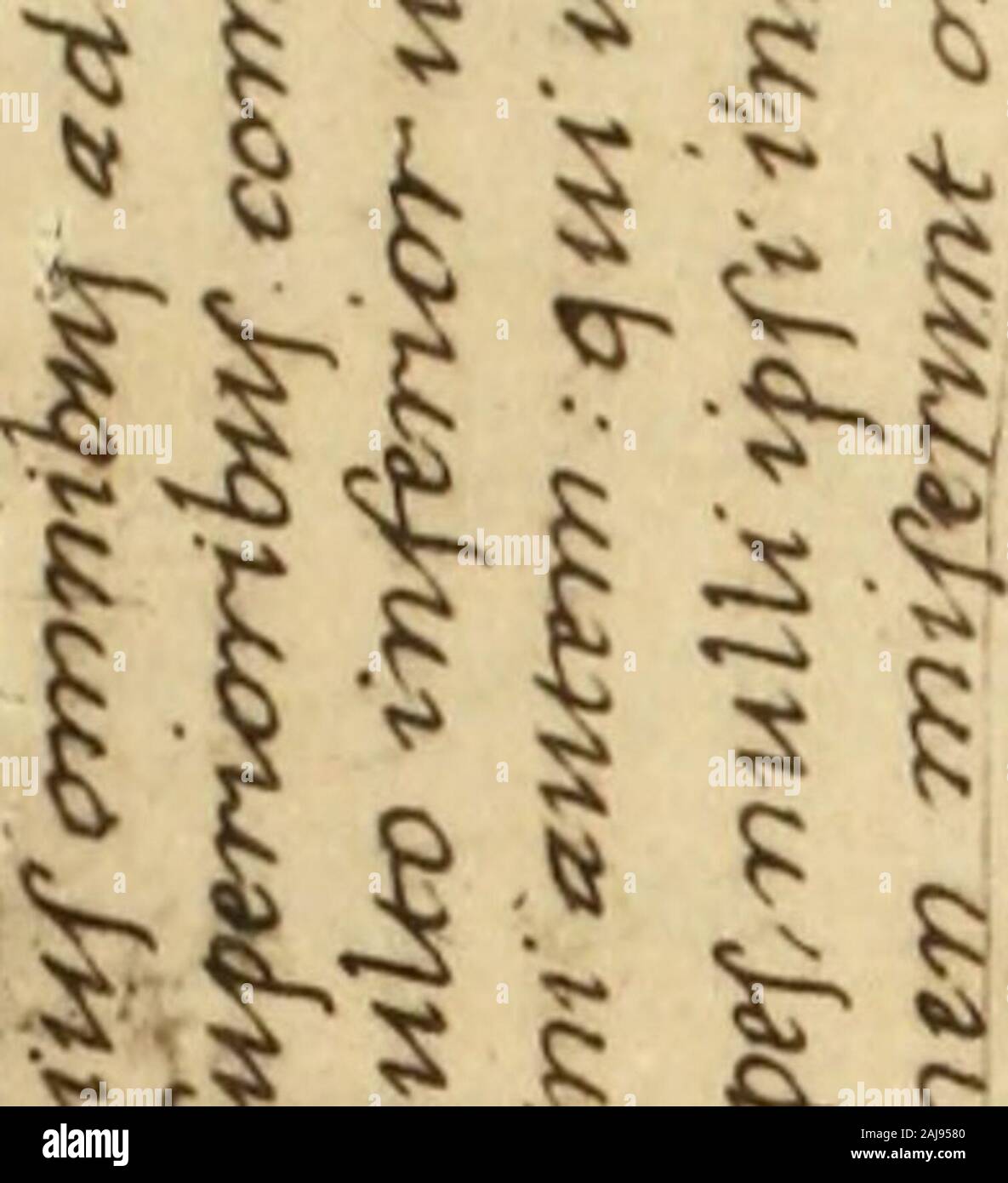 Rerum italicarum scriptores : raccolta degli storici italiani dal cinquecento al millecinquecento . ta lo mode dica-stissimo ed alieno dal Parlare di sé, un abilissimo rappresentare i fatti, venir voleva 30o o tramandati étaient ricordati giudicati ; quindi elemento storico, questo illustre infor-matore, di primo ordine, ma da trattarsi con cautela e con prudenza. LoSforza molte persone Ma oltre " ebbe occasione di Simonetta il interrogare per la composition-zione della sua opera dans potremo ; qualche modo immaginare, certonumero onu individuare di quelle, tra i vecchi funzionari della Corte ducale di Banque D'Images