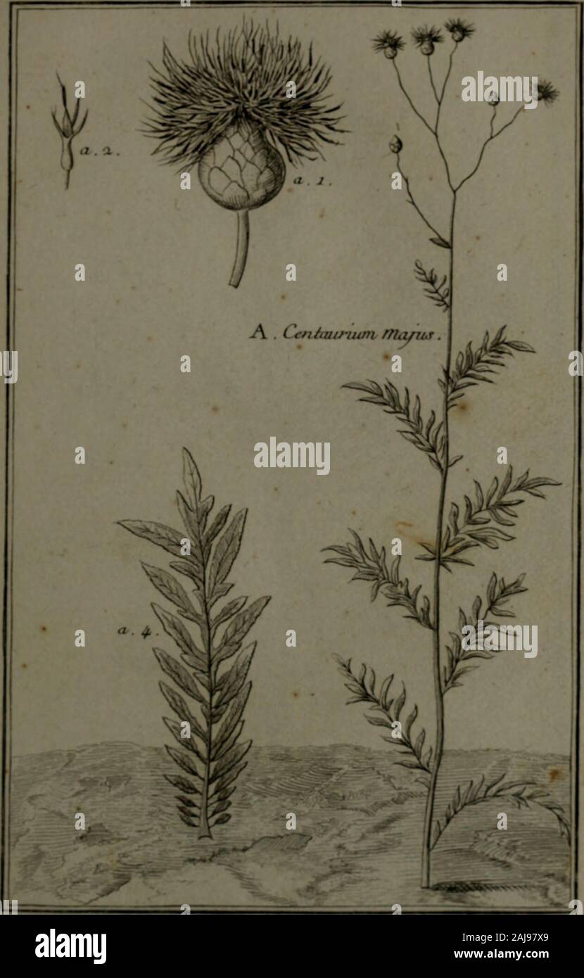 Description, vertus et usages de sept cents dix-neuf plantes : tant étrangeres que de nos climats ; et de cent trente-quartre animaux, en sept cents trente planches, gravées en taille-douce, sur les desseins d'après nature, de M de Gersault, par MM. de Fehrt, Prevost, Duflos, Martinet, &c et rangées suivant l'ordre du livre intitulé Matière médicale de M Geoffroy .. . P/.am.. a. j. Banque D'Images