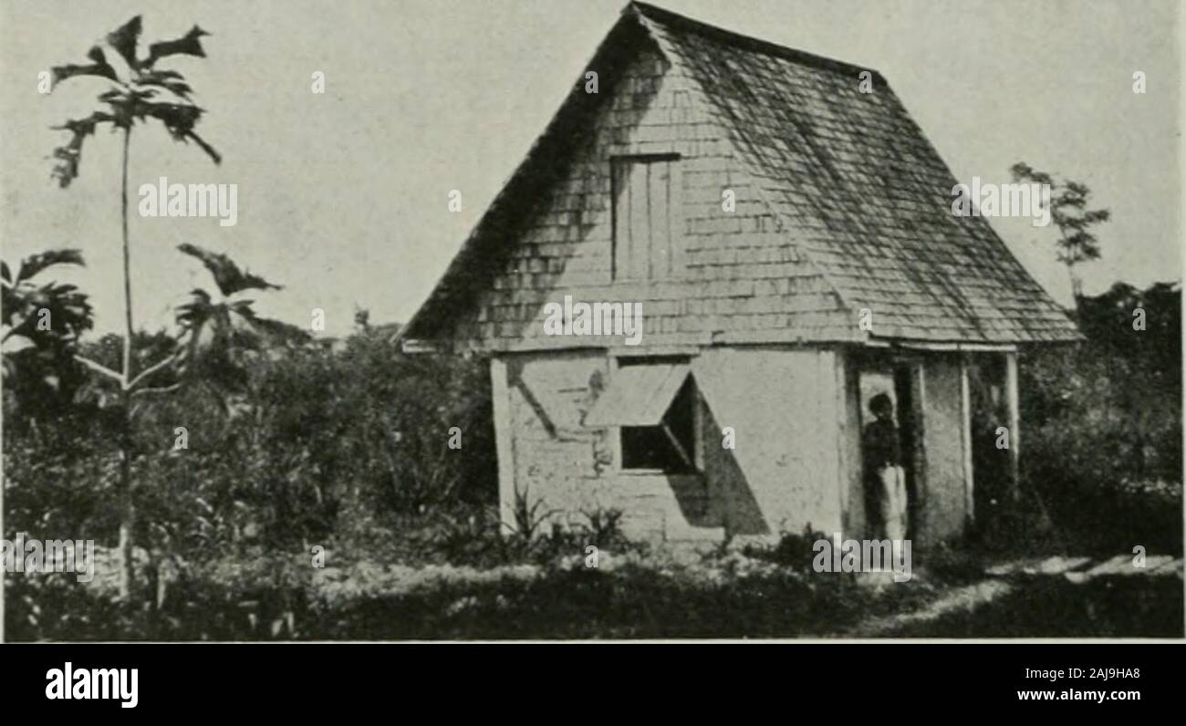 Annales de l'histoire de la médecine . er en otgrave disor beproductive thebody devrait-ders ? Magen-die a démontréque fewdrops fluidmaterial fromdecomposedfish d'un injectedinto le flux de sang d'animaux produit, après une shortinterval, des symptômes analogues à ceux oftyphus et la fièvre jaune. N'est-il pas practicallyan injection de poison du poisson pourri que faire theseinsects sous la peau et dans les tissus de l'homme thecellular ? Le peculiarto animalcule fièvre jaune ainsi introduites dans alldirections propagation, la natation dans le sang-courant.Ils ont un mouvement de rotation, d'abord fromright à gauche, puis de gauche à ri Banque D'Images