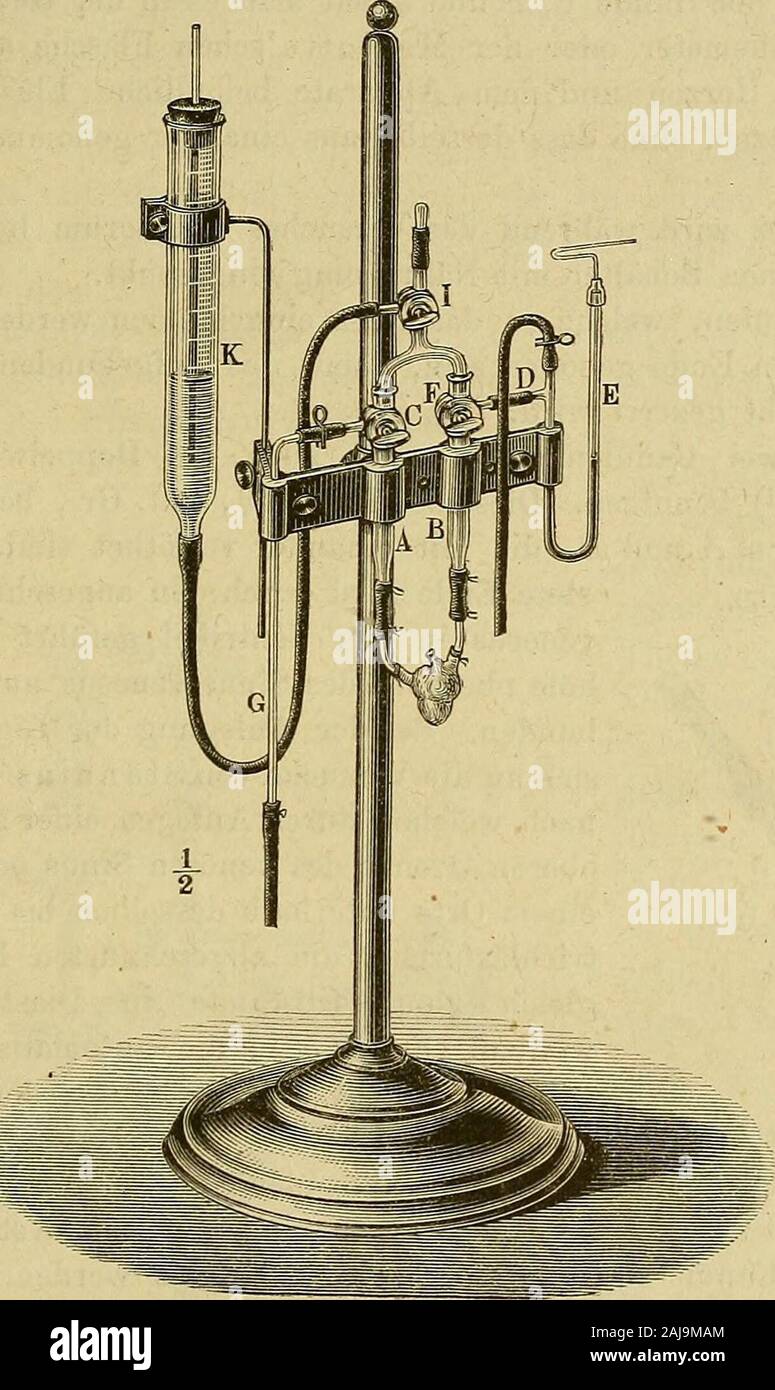 Physiologische Methodik : Ein Handbuch der praktischen Physiologie . 1) Cyon. lieber den Einfluss auf der Temperaturänderungen Zahl, Dauerund Stärke der Herzschläge. Ber. Über die Verhandl. der königl. sächs. Ge-sellsch. der wissensch. zu Leipzig. Math.-phys. Cl. Bd. 18, S. 256. 1866. 2) Graule. Des entbluteten Froscliherzens Die Leistungen. Arch. f.Anat. u. Physiol. Phys. Abth. Jahrg. 1878, S. 299. 1878. 3) Cyon. lieber den Einfluss auf der Zahl Temperaturveränderungen,Dauer und Stärke der Herzschläge. Ber. Über die Verhandl. der königl. sächs.Gesellsch. der wissensch. zu Leipzig. Math. - Phy Banque D'Images