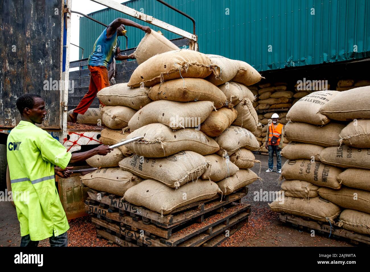 Sacs d'échantillonnage travailleur du cacao déchargés au port d'abidjan Banque D'Images