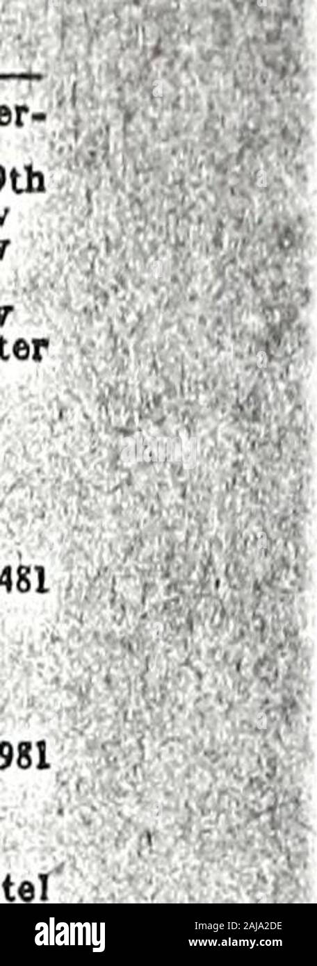 L'annuaire général Trow des quartiers de Manhattan et le Bronx, ville de New York . avGlib Morris J. thGriffith 449 E149W. B. 4 Co 1 Madison av R4011Grimmer Charles 4 fils, 231 thGrodin ,E37Max. 568 avGross 4 Columbus Sachs, 1662 rdGutsche Boston Paul, 323 W20thHagan Henry A. 56 W37th téléphone Gree-ley 6886Halm Morris, 1281. AvHallenbecks 3d M., Shop, 19" avHamburger Tth, David. 3453 Bway Hammersley , William, 456 W4latHanf Philip, 22 piHanish St Marc Gustave, 149 E15thHansen 943 P. Jasper. 6e avHarkness George A. Warren Harknet 35 R28Henry. Bradhurst Hariem 64 av -Partie 4 Co Décoration 502 Banque D'Images