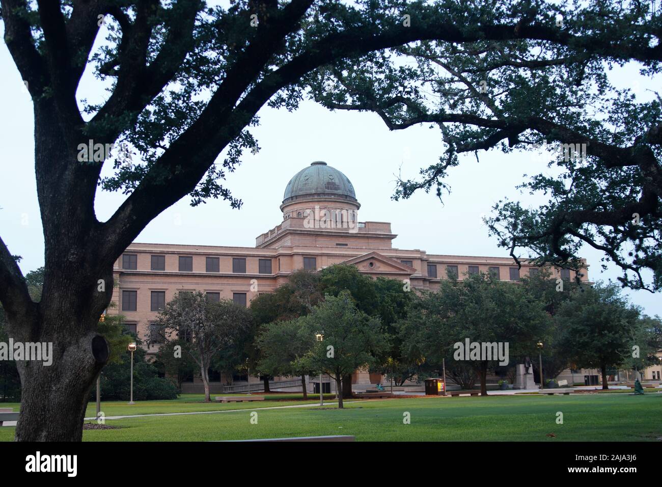 Bâtiment académique sur le campus de la Texas A&M University, College Station, Texas, United States Banque D'Images