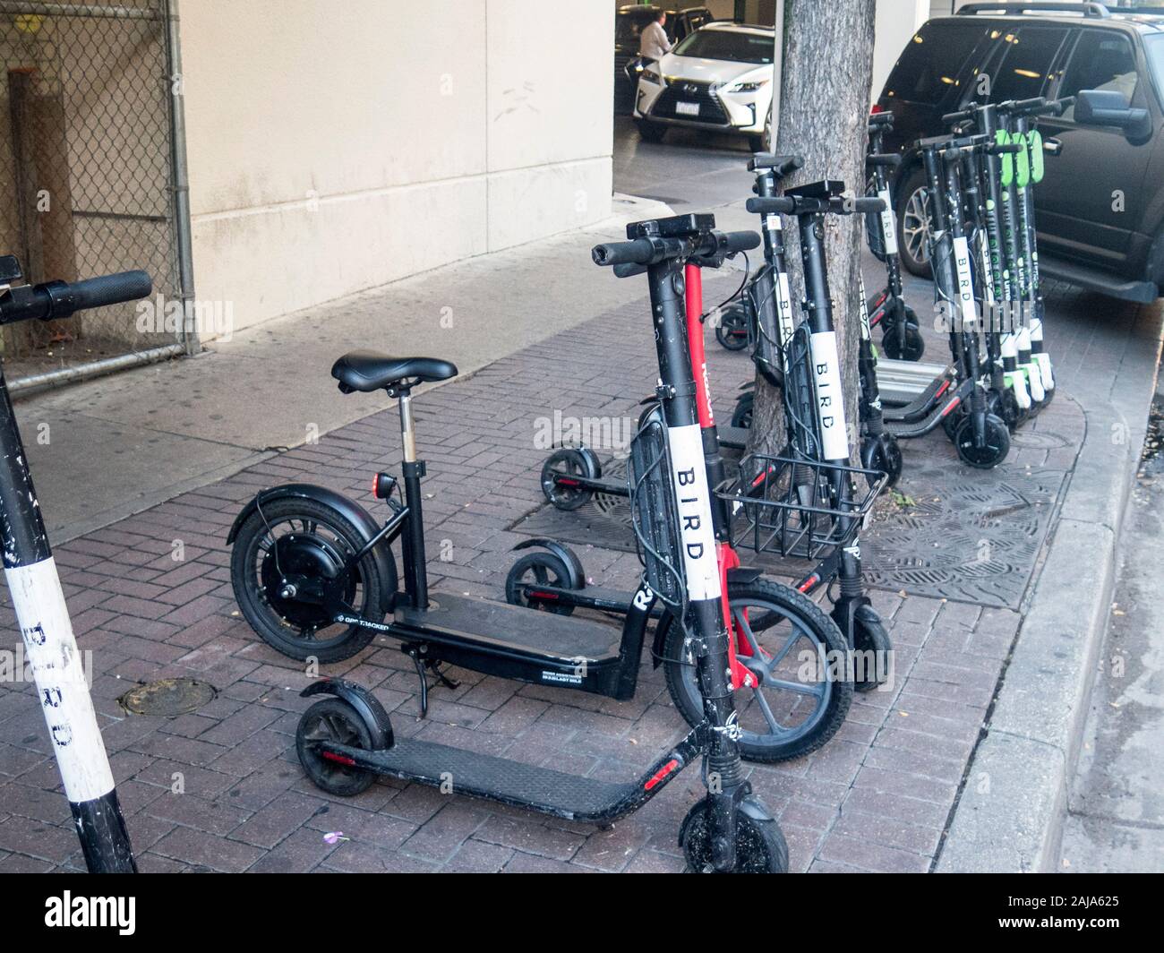 Les scooters de location stationné à San Antonio, Texas Banque D'Images