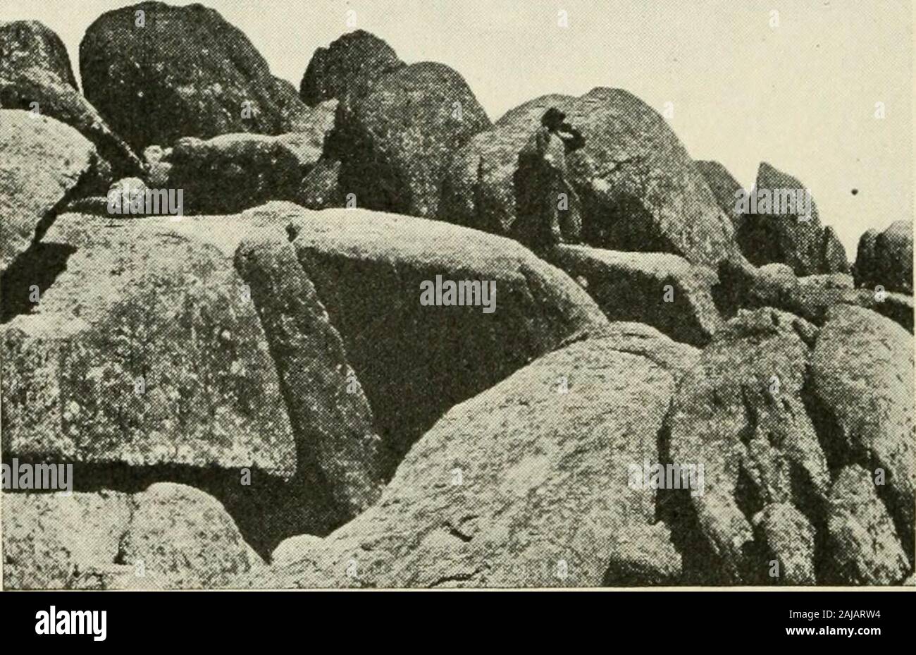 Que voir en Amérique . 314 Que voir en Amérique Paradis, comme l'Oklahoma, est populairement appelé, dans un s'épanouir à l'agriculture et l'élevage du bétail a beenphenomenal district depuis. En 1907, il est devenu un état. La première legis-lature rencontrés à Guthrie, mais la capitale fut vite afterwardestablished à Oklahoma City. Ce dernier est le largestplace dans l'état. Non loin se trouve avec ses Shawnee le coup d'apoo lodges de l'écorce. Près de la limite sud de l'état est l'PiattNational Park, qui contient beaucoup de soufre et d'autres springsthat ont des propriétés médicinales. Le point le plus haut en Okla-homa est à la fa Banque D'Images