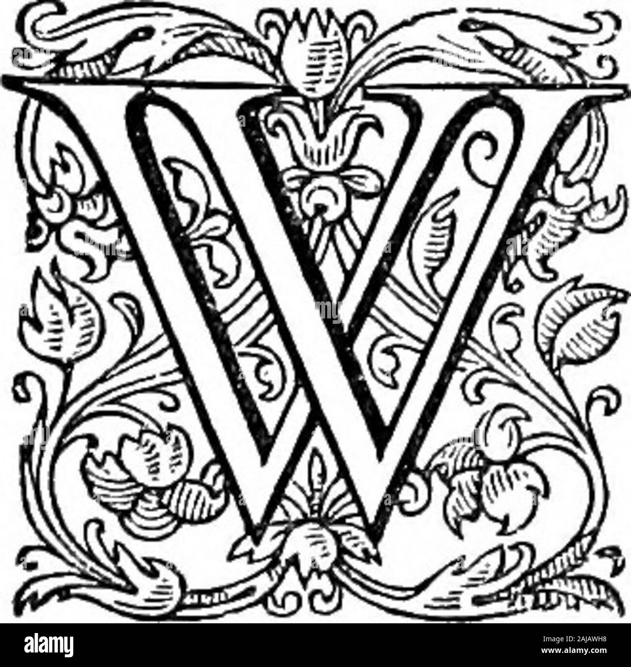 L'Angleterre comme vu par les étrangers dans les jours d'Elizabeth & James  la première comprenant la traduction des journaux des deux ducs de  Wirtemberg en 1592 et 1610 ; les deux exemples