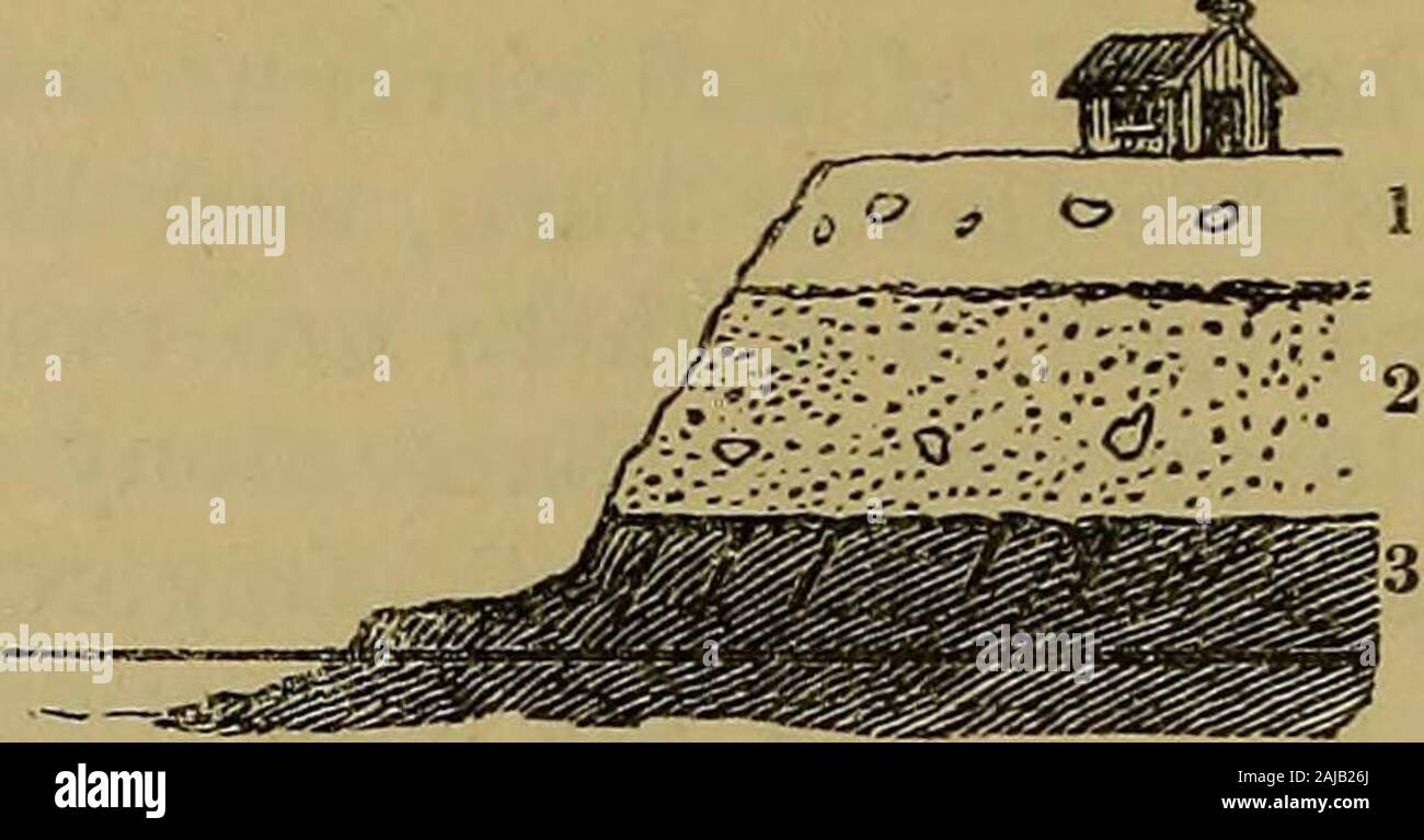 Le journal trimestriel de la Société géologique de Londres . nature naturelle ; c'est animstratified limon de galets, la plus grande partie de la masse composée de sable hors connexion. La partie supérieure de la Banque mondiale, d'autre part, est de plus, abrowner couleur ferrugineuse, beaucoup plus grosses, de la qualité des sédiments boueux réduit libère et peu ou pas d'obus ; c'est aussi plein d'stonesand gros blocs de grès usé, mica, quartzeux schiste-,et granit, à laquelle la notation glaciaire est bien marquée. L'un de ces blocs de granit est de 12 pieds de longueur. Je ne peux pas dire etl'une forte ligne de séparation entre ce coar Banque D'Images
