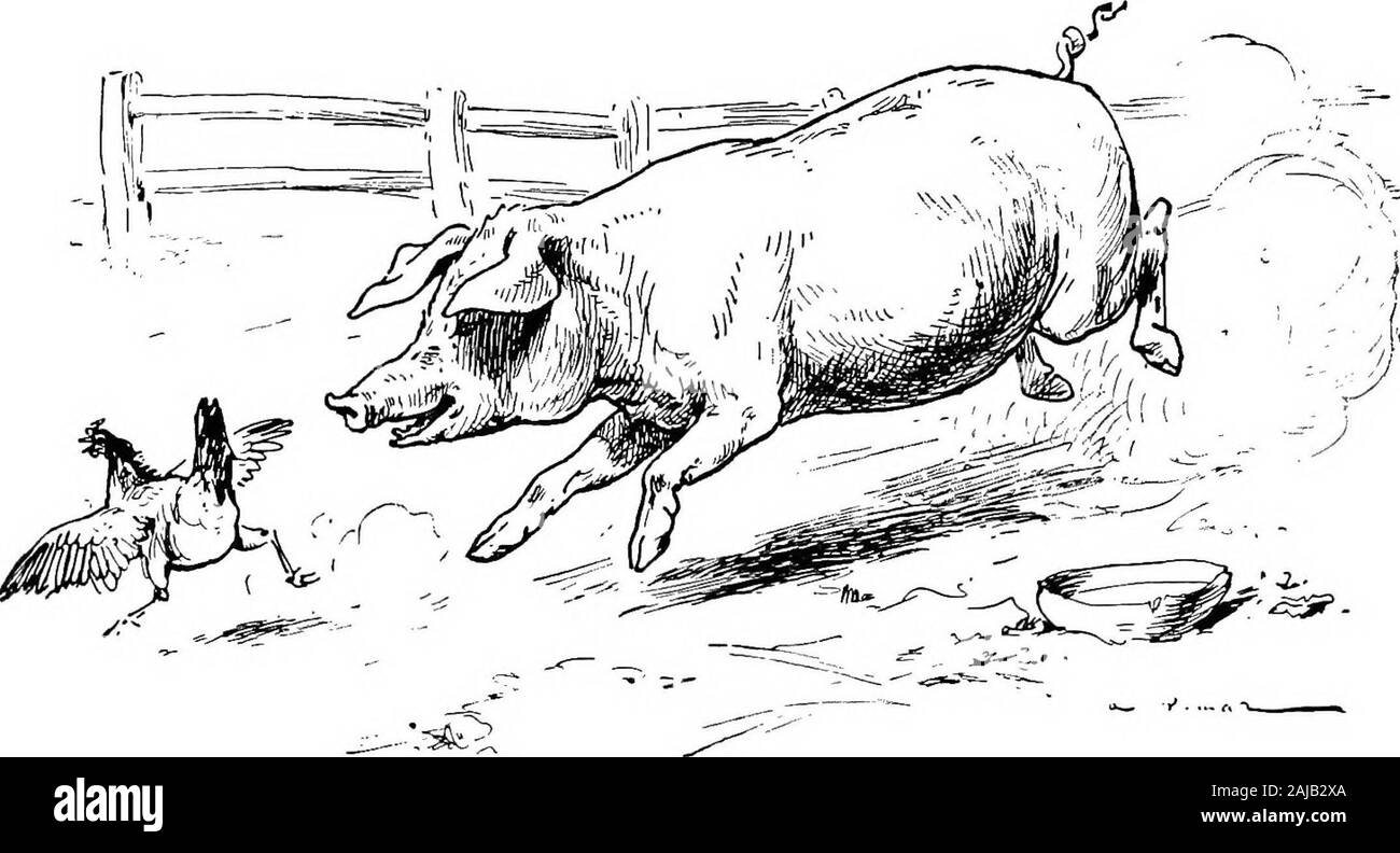 Le Garcon Aux Cheveux Boucles Les Faibles Ont Besoin De Tant De Protection Cet Excellent Womanwould Et Dire Qu Elle Avait Raison Ainsi Pour Les Canards Bebe Sa Tendresse Etait Sans Limite