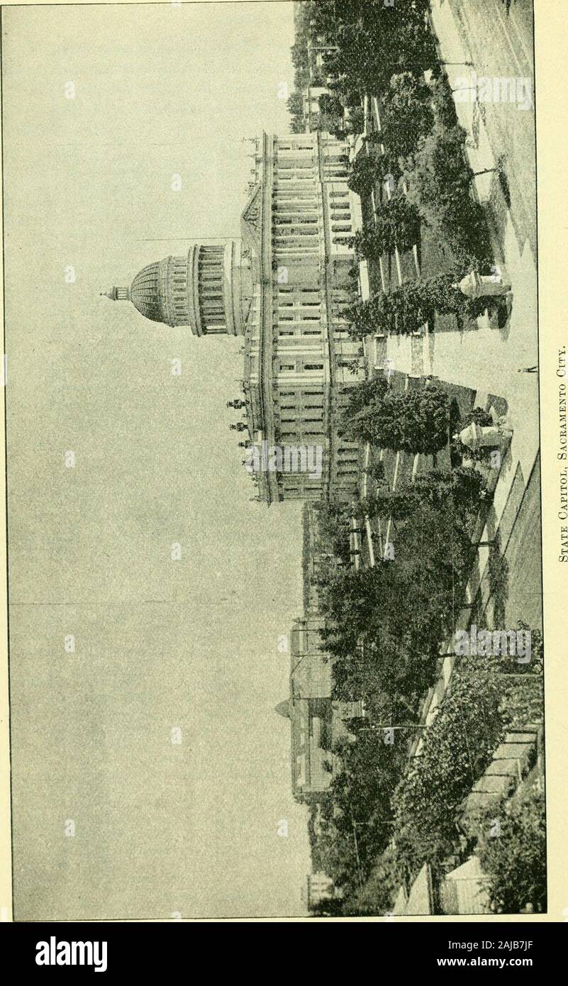 Annexe aux Journaux du Sénat et l'Assemblée générale de la .. session de l'Assemblée législative de l'État de Californie . nd a été l'un cent soixante-cinq mille deux cent quatre-vingt-dix (175 290 exemplaires), d'une valeur de soixante-neuf mille cinquante-deux dollars et vingt-sevencents ($69 052,27), comme illustré par le tableau suivant : n° sur la main. La valeur. Premier lecteur (old) - 401 60 15 Deuxième Reader (old) ..- 7 814 2 578 62 Troisième Reader (old) - 1 026 1 900 00 2 966 - - 11866 Speller primaire 50 10 845 2 169 00 Leçons Nombre arithmétique avancée 215 90 30 leçons dans la langue - ? ^2 314 25 ,257 la grammaire anglaise (lo Banque D'Images