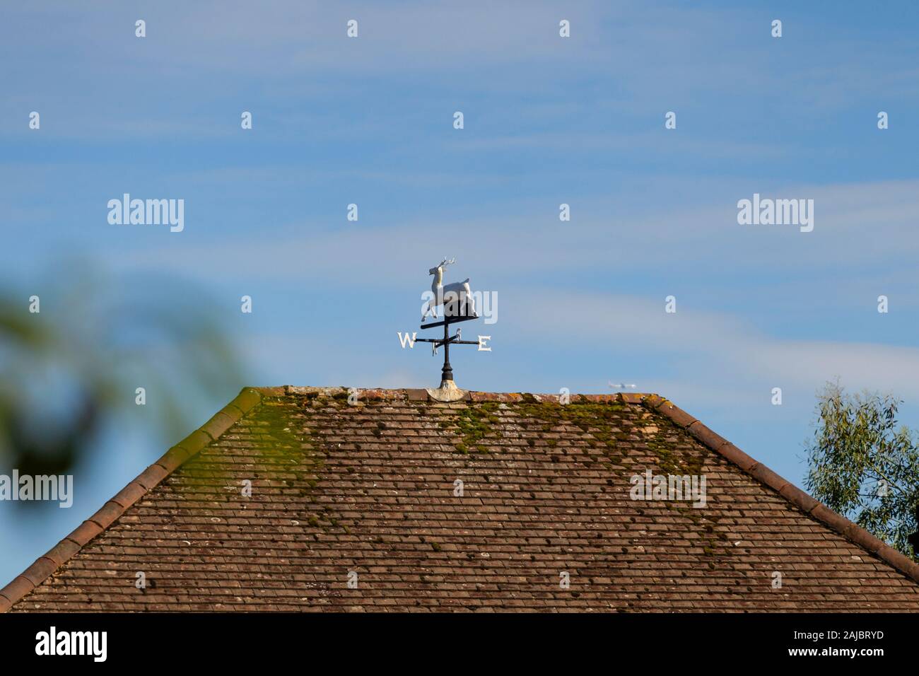 White Hart Stag girouette sur un toit de maison à Reigate, Surrey, UK Banque D'Images