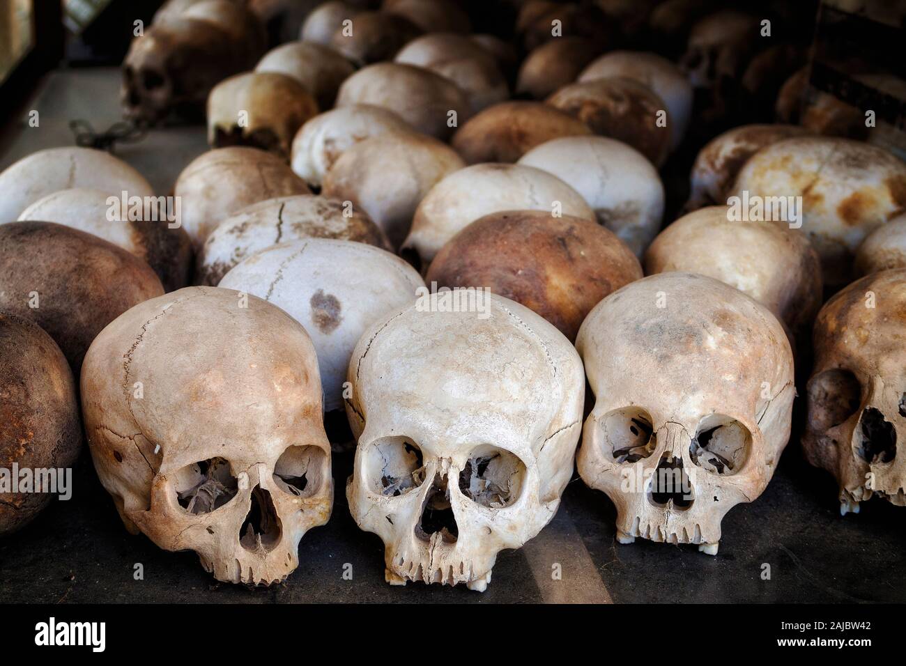Des crânes humains des victimes des Khmers rouges dans les champs de la Mort de Choeung Ek, Phnom Penh, Cambodge. Banque D'Images