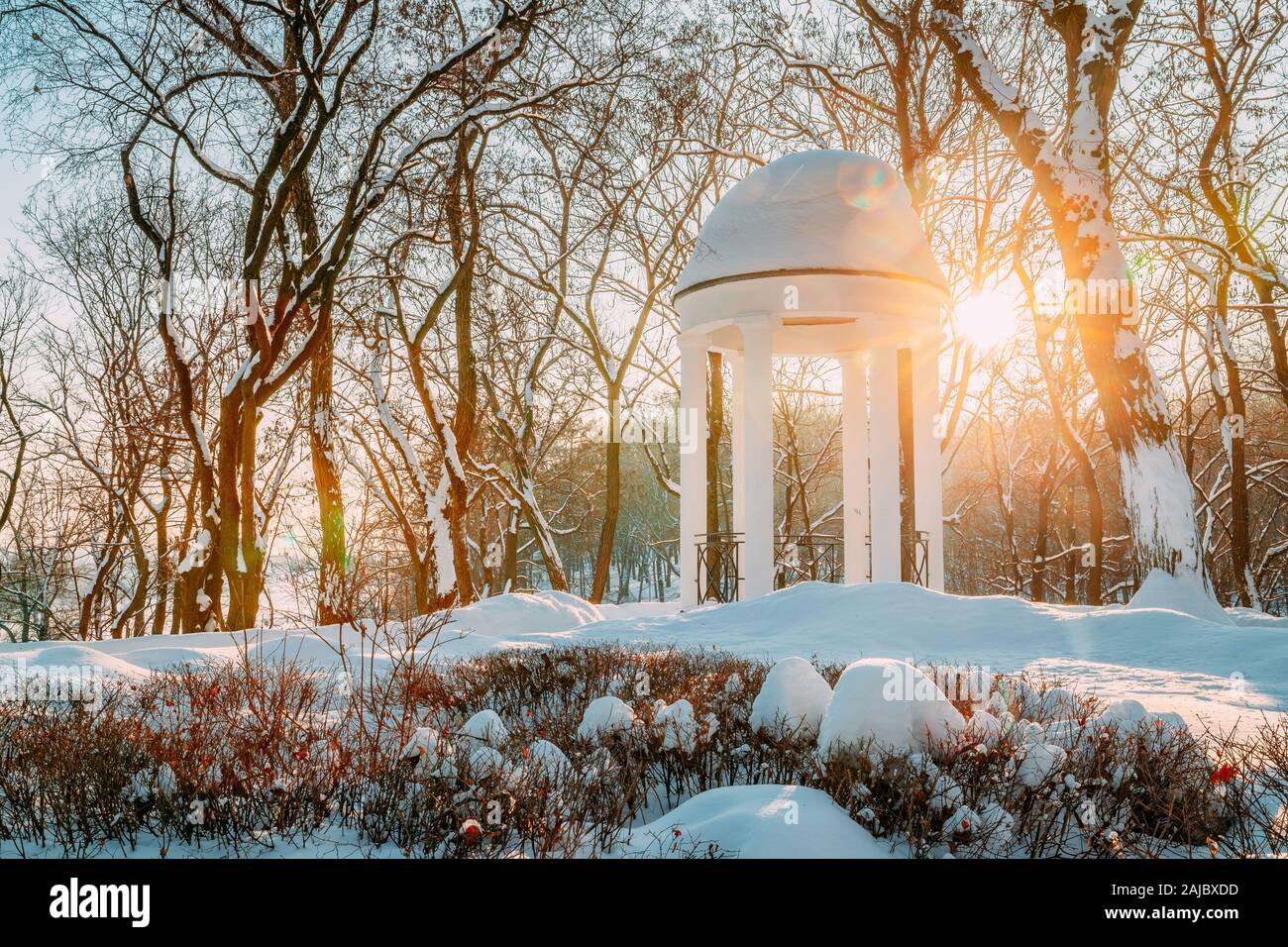 Gomel, Bélarus. Parc de la ville d'hiver. Au coucher de soleil brillant à travers Gazebo dans City Park. Pergola de jardin dans la neige. Banque D'Images