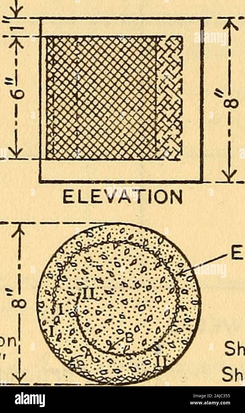 L'action de sels dans l'eau alcaline et de l'eau de mer sur les ciments. . La bobine de fer ronde K !. Pitch-2 tourne à 1. r,. MetalGage élargi# 27Mesh-^ fiche A =6 x 6 feuille B =6x 18 SECTION PLAN Fig. 30.-Diagramme d'essai de corrosion du métal pièces intégrées dans un pouce de la surface cylindrique est plus ou lesscorroded. Où le métal a été placé comme indiqué en Fig. 30a, il est quelque peu à la profondeur n'est pas oxydée d'environ un pouce de thecylindrical, surface et, dans certains cas, l'ensemble du metal est corrodé.Dans le cas de la spirale de renforcement, qui était embeddedwithin environ un pouce de la surface cylindrique, il a été pr Banque D'Images