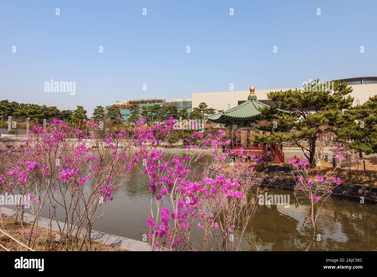 , Yongsan à Séoul, Corée du Sud 30 mars 2018 : Musée National derrière les fleurs, et d'un pavillion par un étang à Séoul un jour de printemps. Banque D'Images