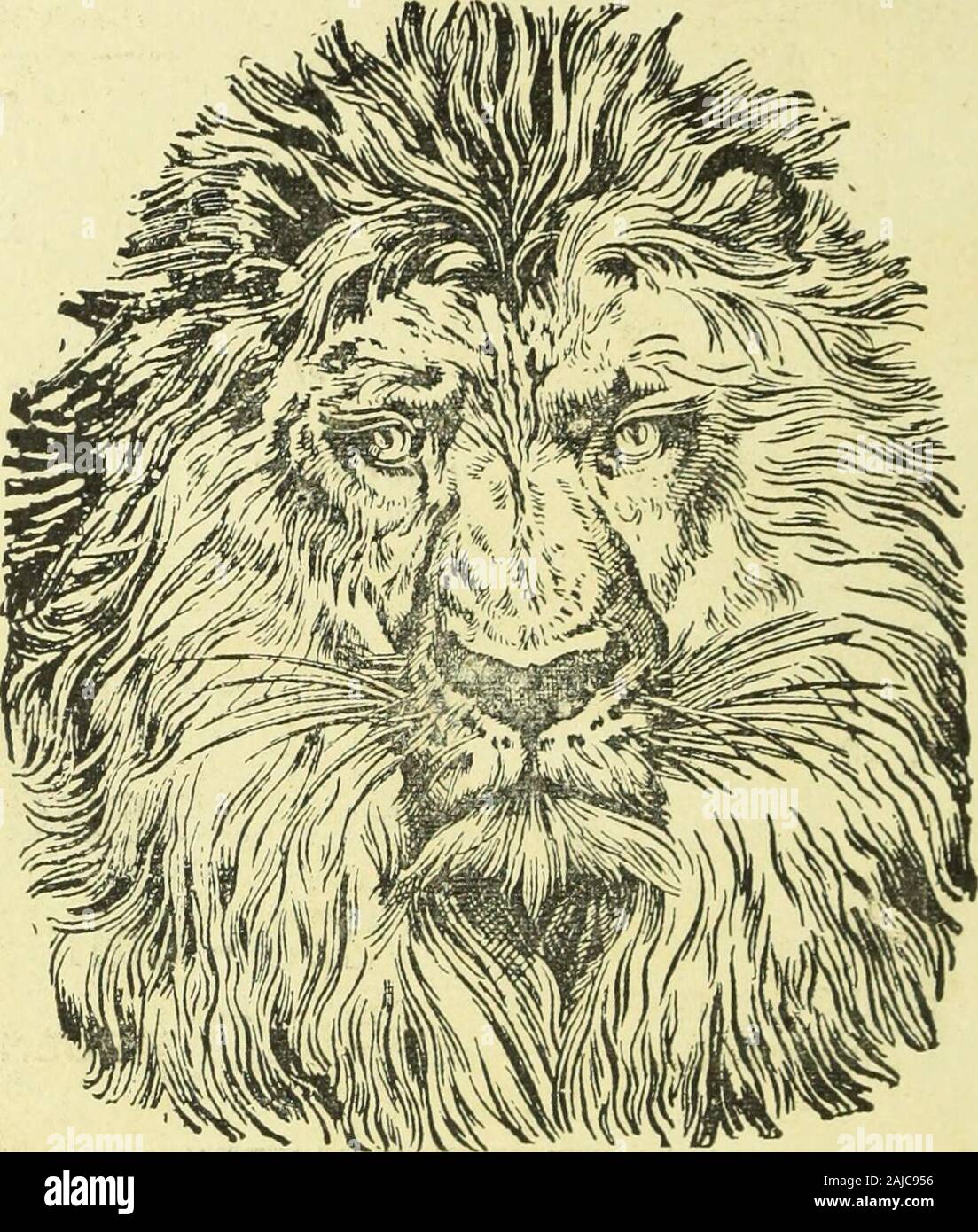 La Mujer . la claridad potencia y de su voz. | admirable por la facilidad en manejarloy la precisión del mecanismo. Sin cuerda 6 mareo,Sin aire y sin pistón todos soyY,instruments maestro en cada tonne. Entre lodos instruments de música el IiEDEL pusición le SBOS ocupa preferente, alors, repro-duce los Sonidos de todos. Boca y sin Sin Sin,lengua garganta y sin pulmón Hablo y canto todoCon,el más perfecto fils. Con EL REY DEL fils se va al teatro sin casa salirde ; pas falta nunca banda para la fiesta, niorquesta para el baile, ni concierto para la tulia-ter. PÍDASE DESCRIPCIÓN Y CATÁLOGOS Á Banque D'Images