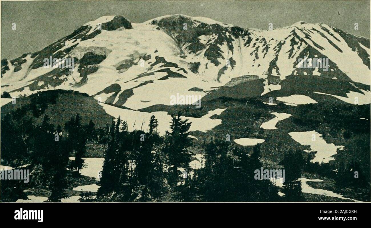 Les gardiens de la Colombie-Britannique, Mount Hood, Mont Adams et le Mont St Helens . Versant nord-ouest du Mont Adams, avec Adams glacier, trois milles de long, le plus grand sur la montagne.Elle dispose d'une chute de glace de deux mille pieds. Le réservoir de faible altitude de Pinnacle glacier est sur l'extrême droite,et la tête de lave glacier sur la gauche. à partir de la ligne de neige. Les visiteurs de Portland ou Seattle, Tacoma, lié aux côté nord, quitter le chemin de fer à Castle Rock, d'où une bonne automobileroad (quarante-huit milles) mène à la côté sud de Spirit Lake. Petersonsmay est accessible par la route de Woodland (quarante-cinq milles) ou bof Banque D'Images