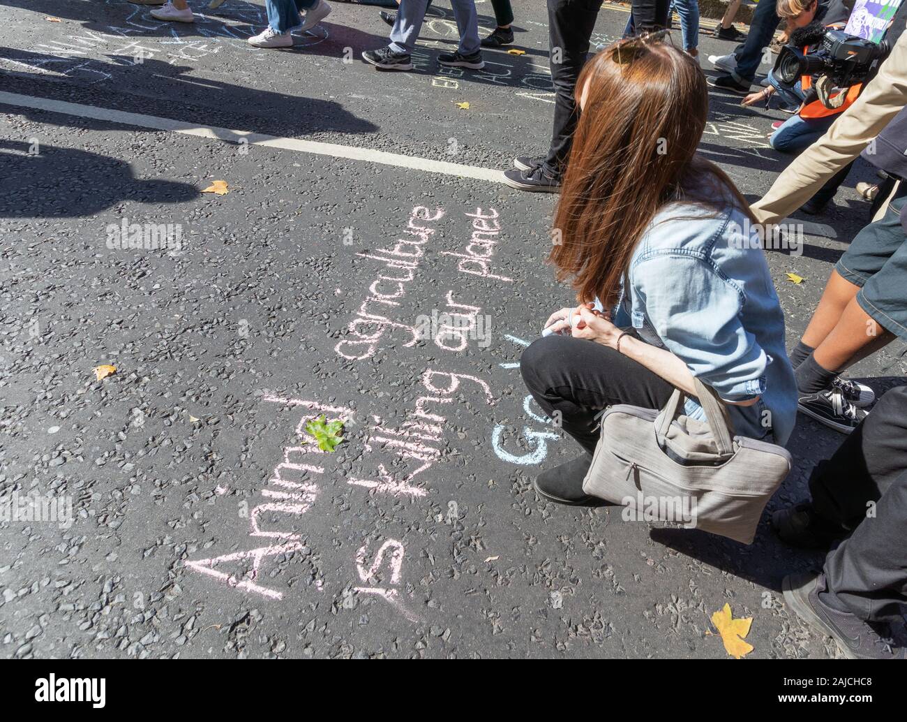 London / UK - 20 septembre 2019 - Militant Vegan écrit à la craie sur le sol à l'extérieur du Parlement de Westminster à 'l'agriculture animale est en train de tuer notre Banque D'Images