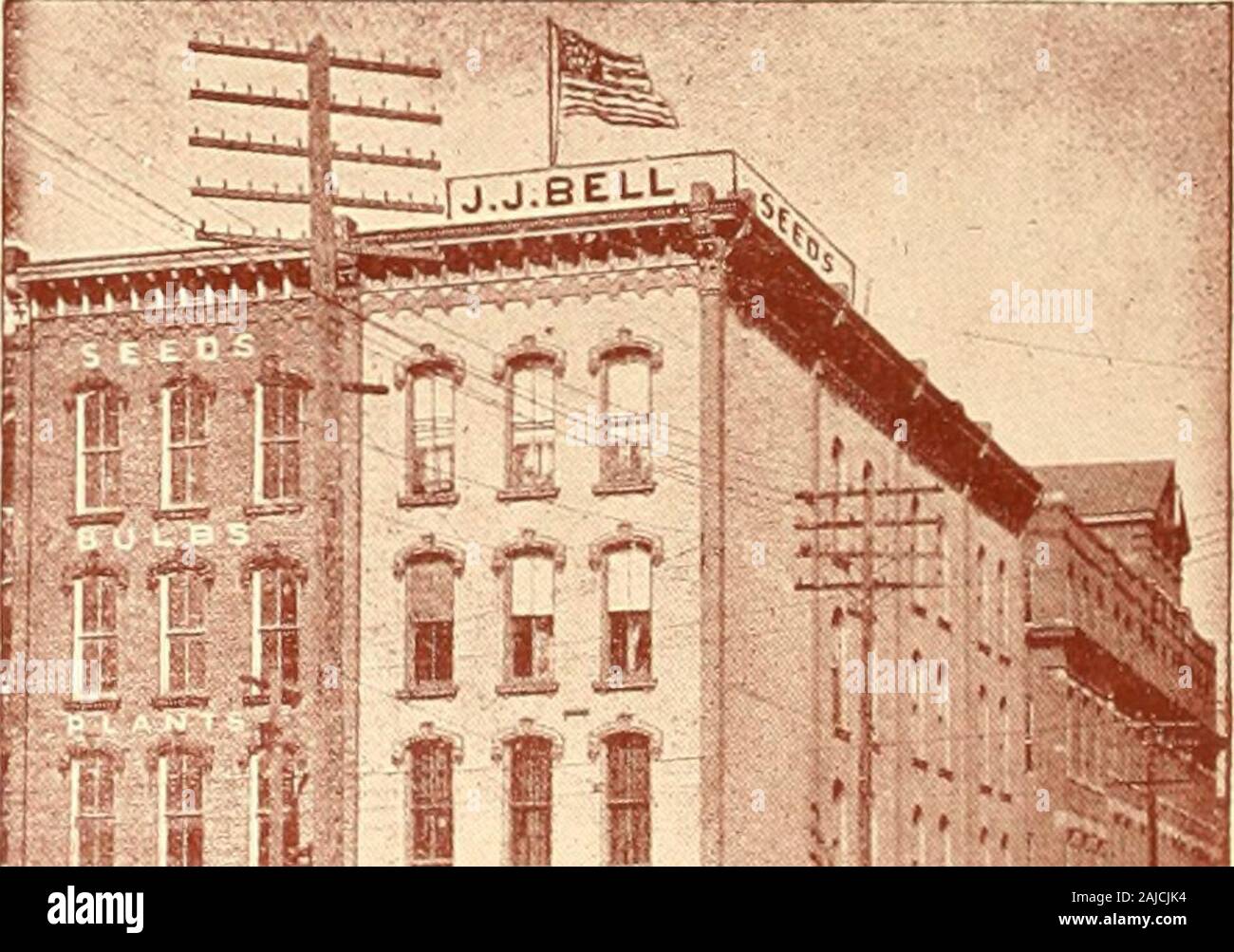 Broome comté . J. J. Bell. BINdHAMTON, N. Y., après neuf heures du soir, et le travail a été effectuée en hisbedroom tandis que le reste de la famille étaient endormis. Chaque réussir-ing année a marqué une croissance de l'entreprise et près de everyyear il a plus tlian doublé. De quelques circulaires et d'une petite annonce de journal dans un premier temps, le département de la publicité cette saison a imprimé plus de 175 000 catalogues, publicités dans andplaced plusieurs centaines des principaux magazines d'papersand ce pays, le Canada, l'Australie et la Nouvelle-Zélande. L'industrie du transport maritime a été la plupart du temps retiré de Flow-ers, N. Y. Banque D'Images