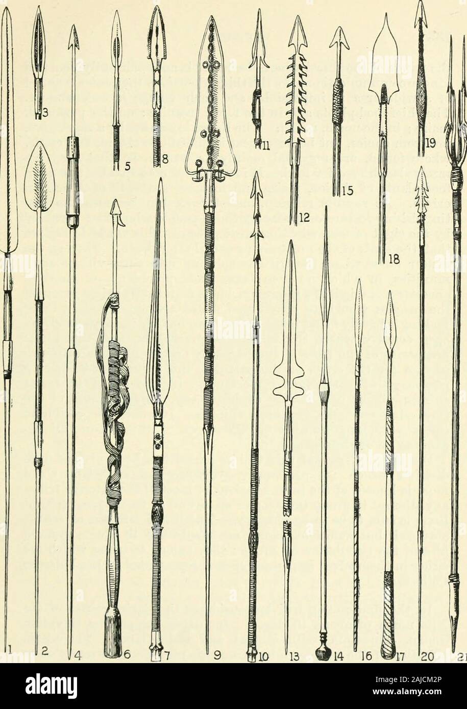 Manuel pour les collections ethnographiques . Fig. 163.-types de boucliers africains, a. Tiibe Buduma, L. Tchad (bois &gt;h. Azandeh tribu, NE. L'État libre du Congo (wicker), ch. Momfu NECongo tribu, État libre (wicker), d. Zuhi-Xosa tribus, S. Africa (cacher), e.tribu BaGanda, protectorat de l'Ouganda (bois recouvert d'osier). /. BaNo-alatribe. Congo supérieur (g), l'osier. Touaregs, Sahara occidental (cacher), h. TribeUganda Acholi protectorat (cacher), i. Tribu Mangbetu, NE. L'État libre du Congo (bois^. Fk ;. 1(;4.-Tvpcs africaine de lances. 1. Masai, E. sud-alpes.2. Masai, vieux modèle. 3. Ballima et autres trihes chamitique, Banque D'Images