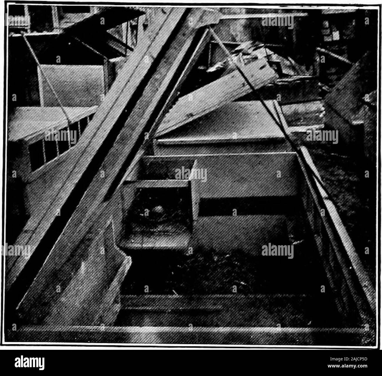 Le système progressif de Philo l'aviculture . Le nid est placé à l'arrière centre du plancher fin de la coop, et est fixé près du sommet, en donnant aux poules le plancher salle sous il^ fondation de la coop et la pluie et le boardI la main d'un Iveeper volaille pratique. M M J J mil II :^^^*, /J m - sM r N 1 ^^^^^^^^tt K H ^ ^^1, -™ "™™™",. B Banque D'Images