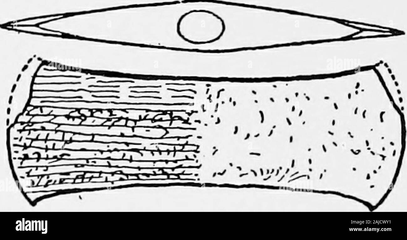 Mer archaeeology ; une introduction à l'archaeeology préhistorique de la Grèce . Fig. 107.-pointes de bronze Minoen, Zafer Papoura (L.M, III).Museuvi Candia. Des pointes de bronze taille réelle. ont été trouvés à Knossos, avec, près de l'bythem inscrit, avec des comprimés de flèches en hieroglyphson et leur nombre, le nombre de listes de toute évidence dans le ofarrowheads les magasins voisins, qui est givenas 8640 en tout. Pas d'arcs ont été trouvés ; la corne dont elles sont faites est extrêmement périssable et evenin tombeaux égyptiens a toujours souffert de la péremption oftime. Mais encore une fois sur des tablettes que nous avons des listes d'ibex-hornsevi Banque D'Images