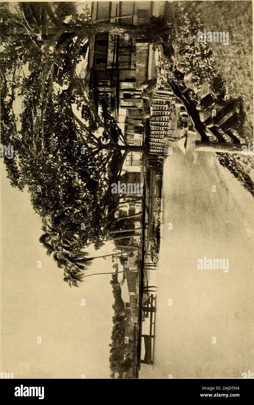 Samoa 'uma, où la vie est différente . liest temps de la colonisation il n'y avait pas de hind-rance à l'illimité de troquer la gin qui est cette devise générale dans les mers du Sud. Les Samoans Butthe ne sont pas un peuple donné à boire. Underrecent système de gouvernement le trafic a beenunder une interdiction stricte. Même lorsqu'ils couldhave tout l'alcool qu'elles pourrait vouloir, ils n'notwant tout. Maintenant, ils veulent encore moins. Le kava est enoughfor entre eux, et c'est tout aussi bien ainsi. En aucune circonstances d'affaires samoanes faut-il guardagainst la propagation de l'habitude de boire. Le Samoandoes pas boire. Ni Banque D'Images