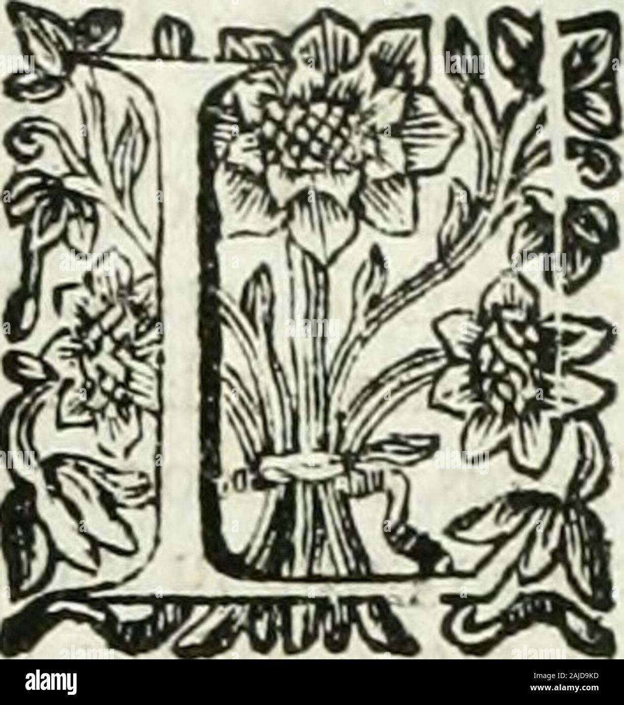 Historia general de los hechos de los castellanos en las islas i tierra firme del mar oceano . dichas. Iglefias Que Perfona pudíefe guna-nin facar Oro , ni traerPerfonas en ello , eftuvíefe pas íi fome-tido á la Jurifdiccion réel, j'á las ou-guardaban denanzas que fe en ello, j'pa-gafen los derechos que los Seglares. The tuviefen Quelos Indios en las Minas, mifmos nilos Indios, pas pudiefen fer con-venidos , traídos arreftados ni , ni , nillamados , por fus caufas j ni agenas,por ningún Jue ?,, durante las demoras,porque dtt fe por inducías les daba dePan, j'Vino, coger , por quanto aqueles frut Banque D'Images