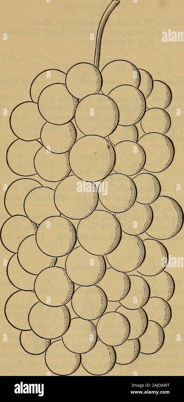 Http Www Wipo Int Edocs Pctdocs En 2004 Pct 2004 27 Section1 Pdf