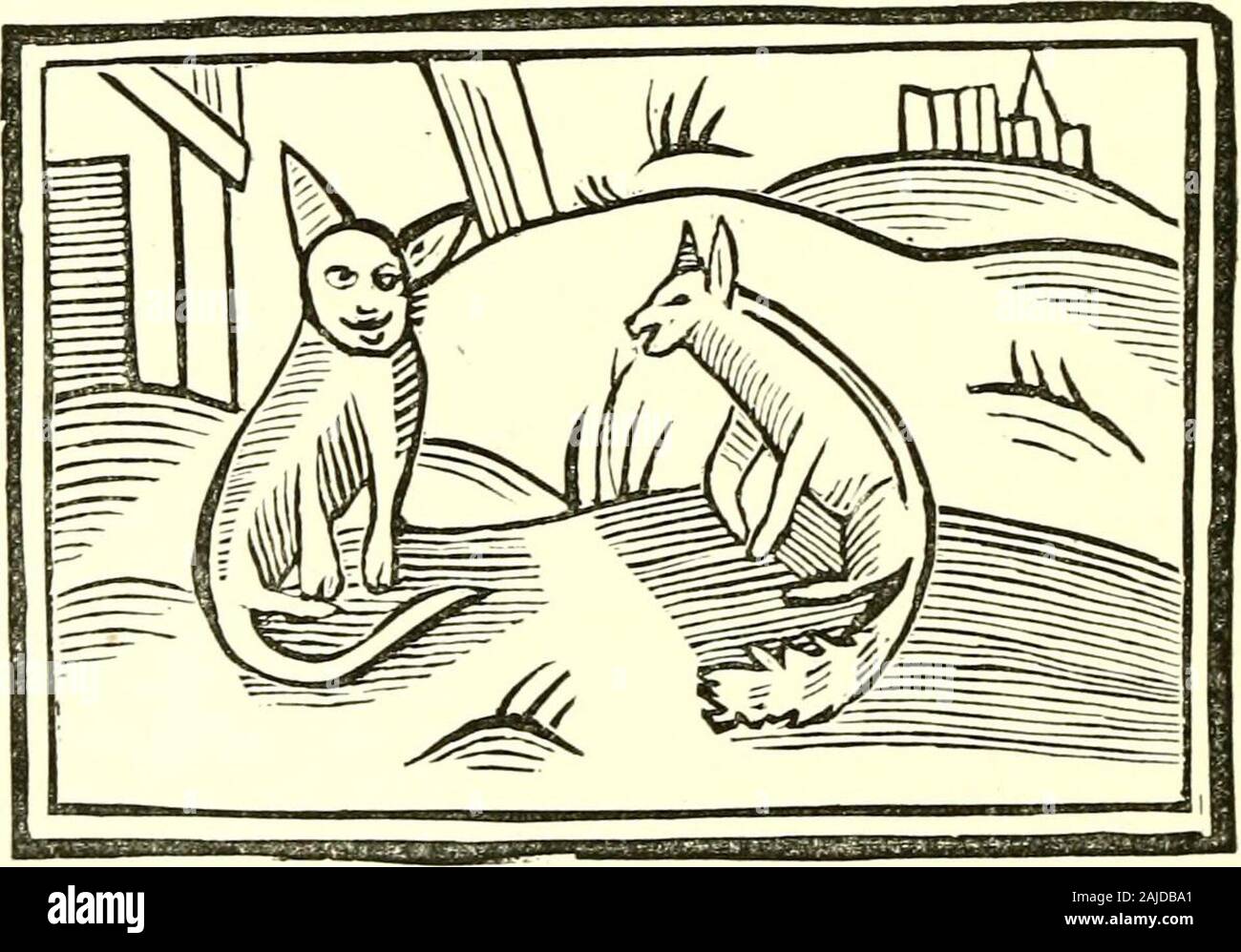 Chap Livres De La Dix Huitieme Siecle Chapitre 5 Tibert Le Chat A Ambassy Reynard Avec Le Badsuccess Tibert Etait Peu Dispose A Aller Sur Ce Message Mais En Longueur Fearingthe Kings Mecontentement