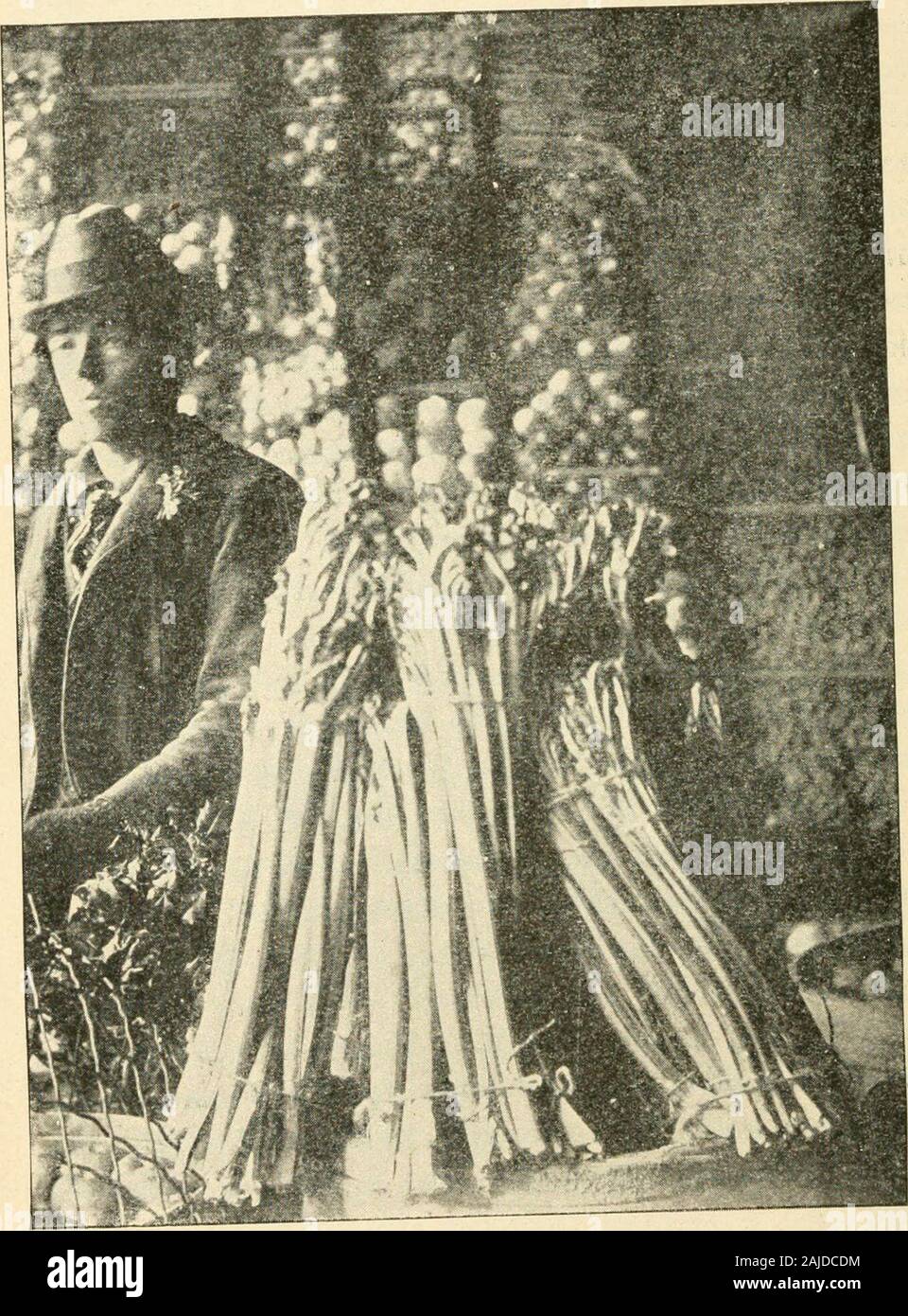 La nouvelle culture de la rhubarbe ; le guide complet de la force sombre et le champ de la culture, la façon de préparer et d'utiliser la rhubarbe . Société, et donnerait à twomore pickings ; la deuxième était censée bebest de tous. Ce producteur est un jardinier de plus de 40 ans d'expérience, de conférence et dit que c'est la meilleure récolte de payer il canraise, pour la raison que la plus grande partie de l'laboris fait après les autres cultures sont fixés et que l'salescome à un moment où si peu d'autre ne peut être cultivé le exceptby des méthodes coûteuses de croissant sous verre. Dans Groiving la serre.-undergreenhouse les bancs de l'espace peut être utilisé, par clo Banque D'Images