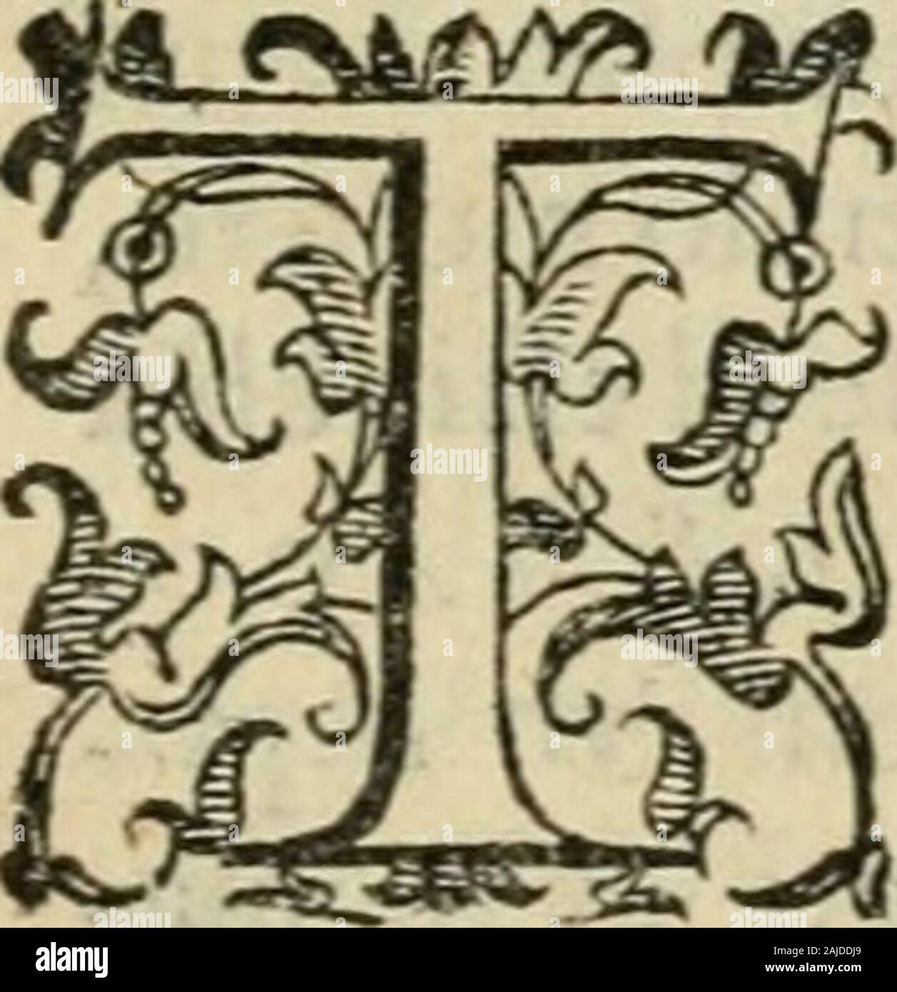 Www.flickr.com/photos/internetarchivebookimages/tags/book... . .^^^ ? Mi Ra I SETTI GtORIOSI mOtì do.dc MIRACOLI tanto celebraci Scrictori,da gli antichi, vno ère& deprincipalijla ftupenda fabrica delle Piramidi di m e n f i, CittàdellEgitto diuinoArioftodifTe famofìfsima.Onde il, Menfi per le piramidi.famofa noftri Vogliono alcuni de autori,che Menfi (ia quella fceC fa-cheoggi,chiamano CDI a i r o , ellafofTealmeno quelluogo dans ò che.Ben-"che altri dotti,& : famofi qualimoftrano delfere,je ftati nel luogo fcefib,tengo-no che il fofTela Caire propria. dellEgitto ilonia Bab antica Et volendo noi v Banque D'Images