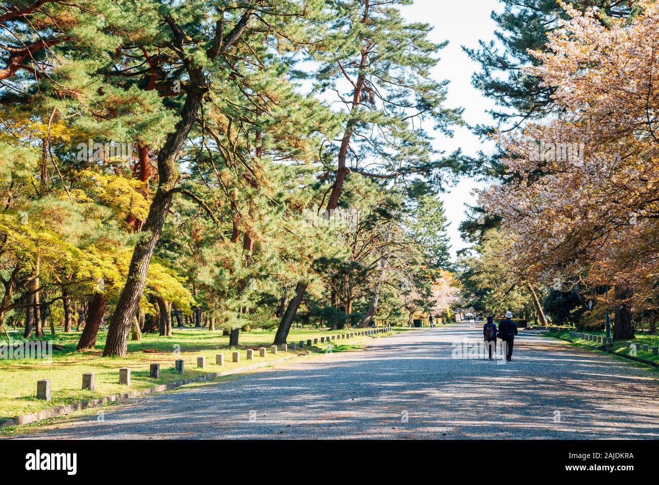Jardin National de Kyoto Gyoen au printemps au Japon Banque D'Images
